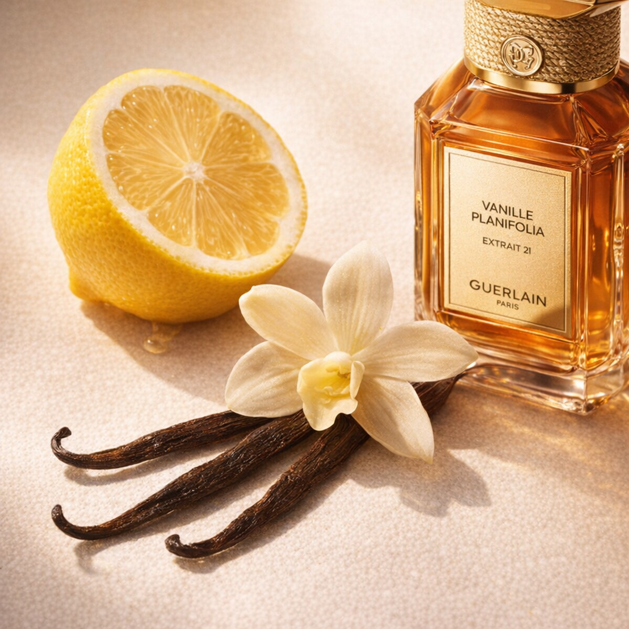 Guerlain L'art & la Matiere Vanilla Planifolia Extrait 21 Parfume fragrance notes image