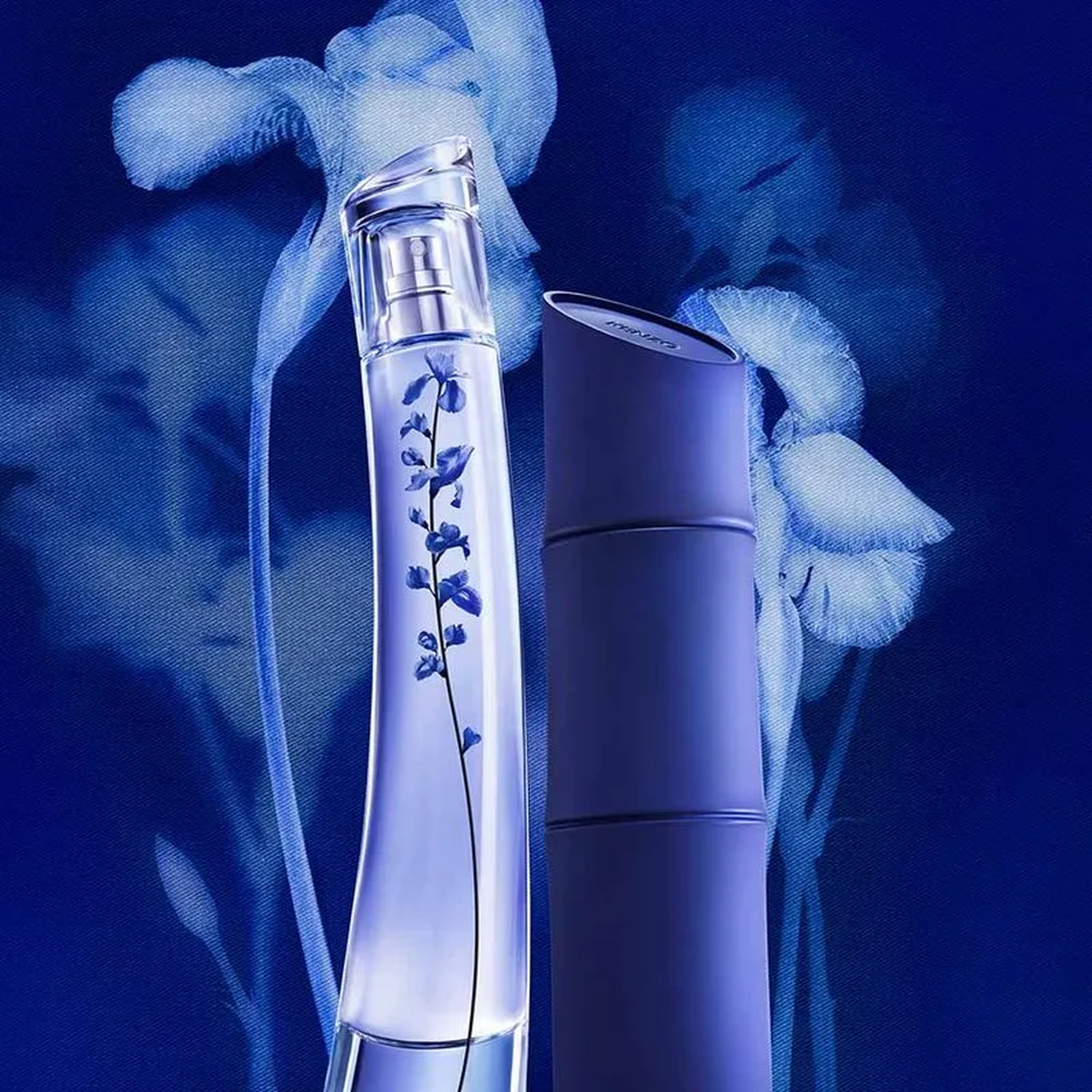 Kenzo Homme Indigo EDP for Men fragrance notes image