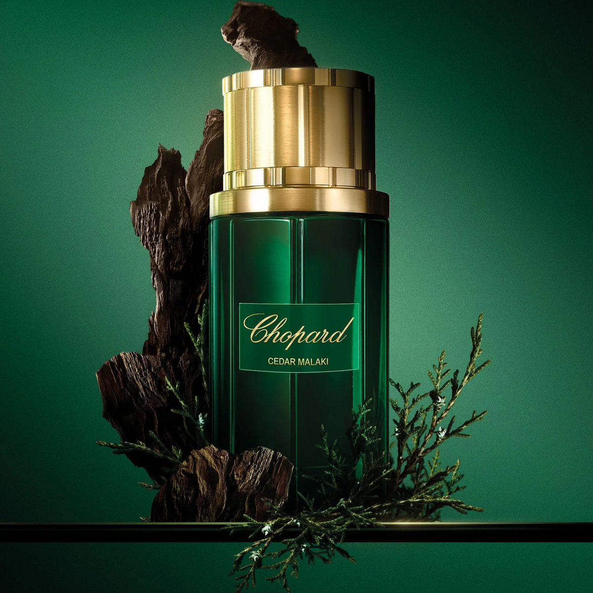 Chopard Cedar Malaki EDP fragrance notes image