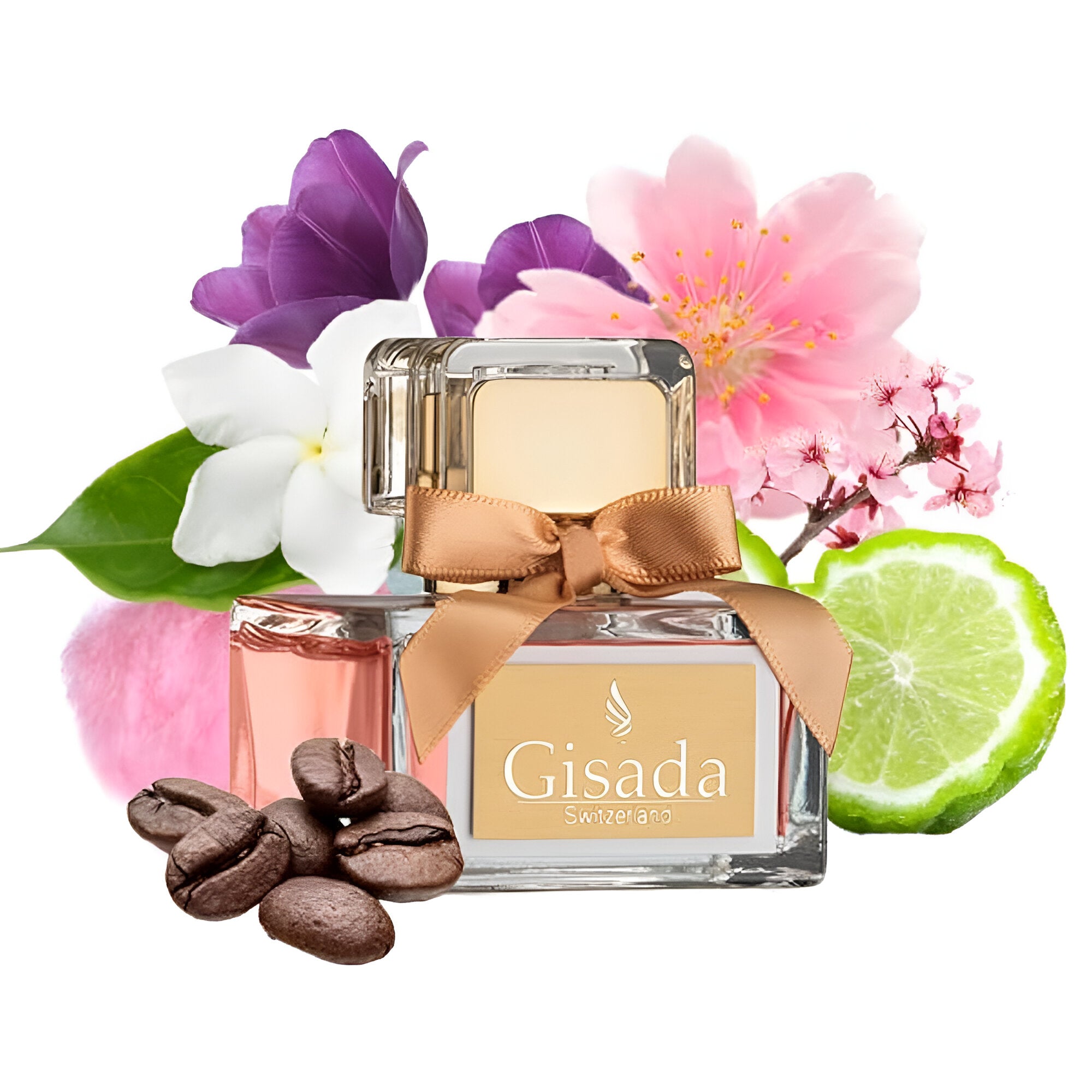 Gisada Donna EDT