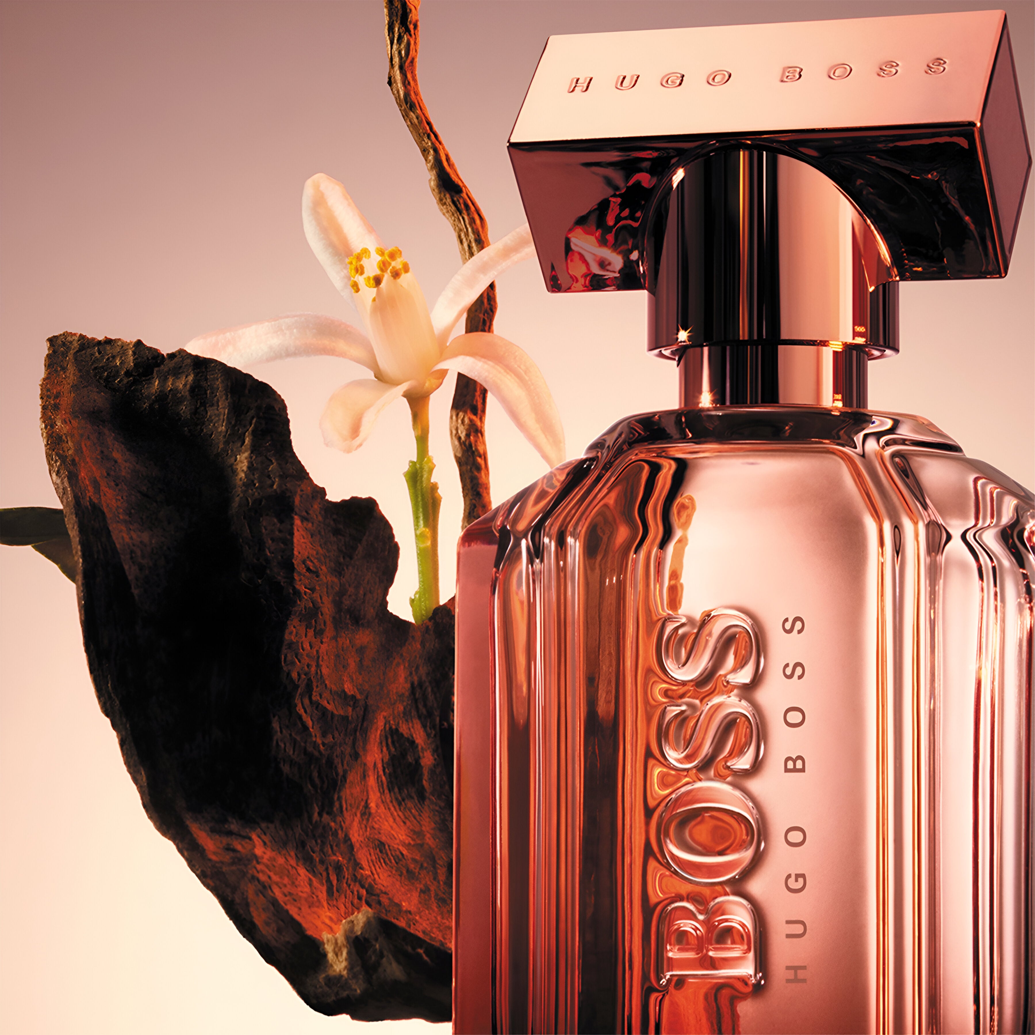 Hugo Boss The Scent Le Parfum For Women