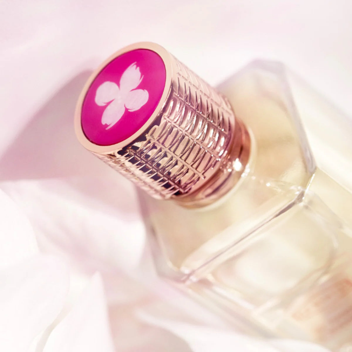 Ex Nihilo My Sweetest Morphine EDP