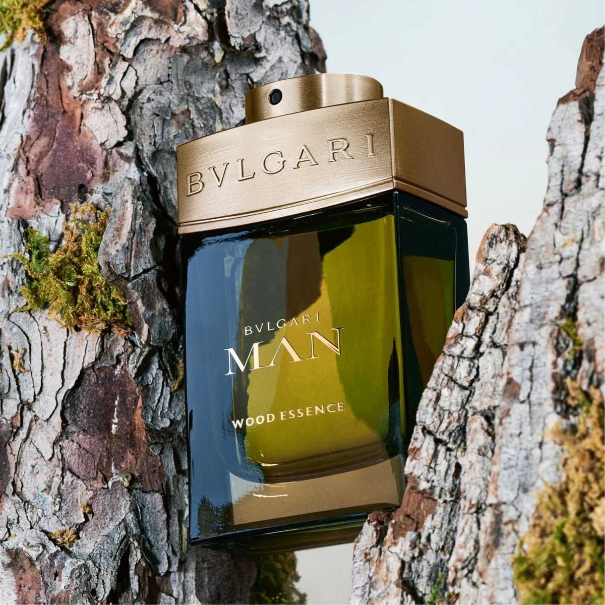 Bvlgari Man Wood Essence EDP Set | My Perfume Shop