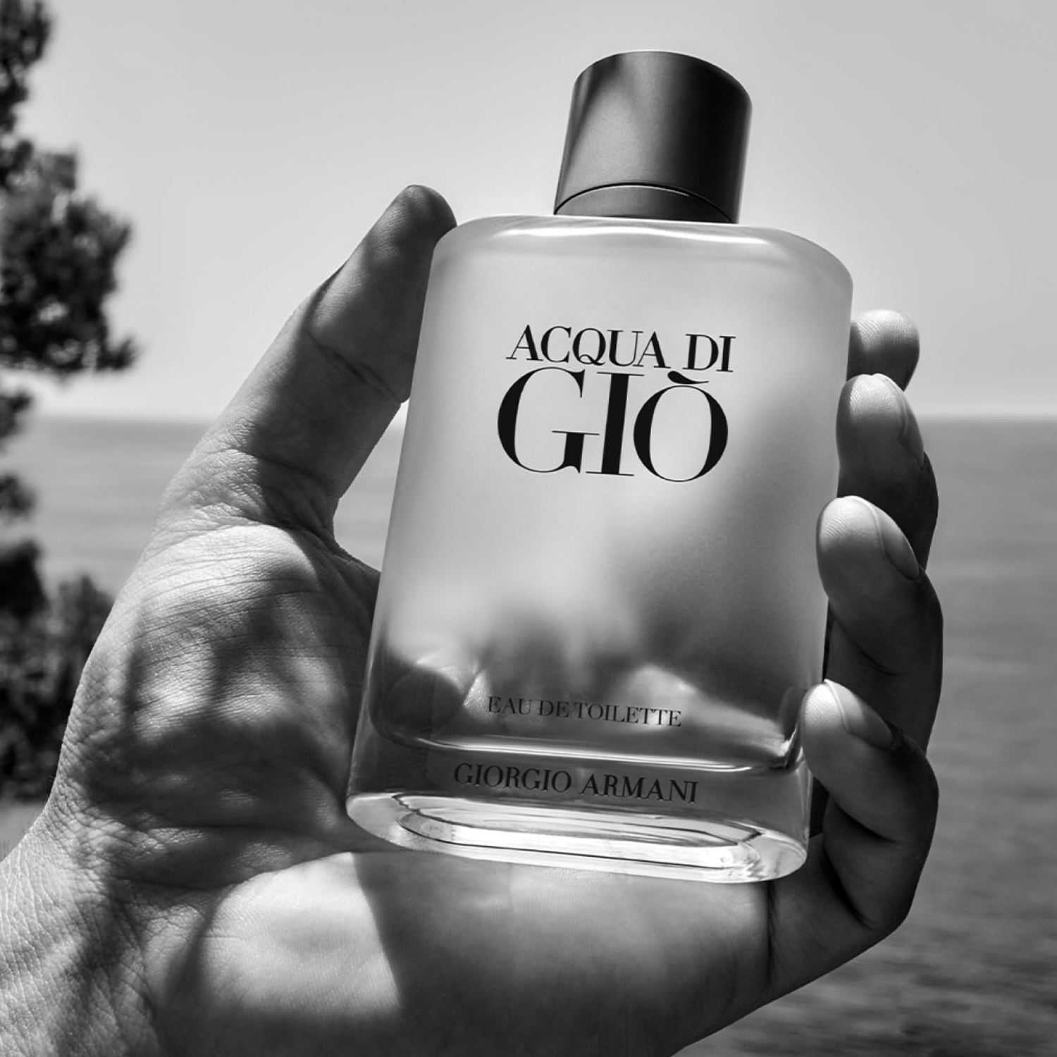 Giorgio Armani Acqua Di Gio EDT For Men Gift Set