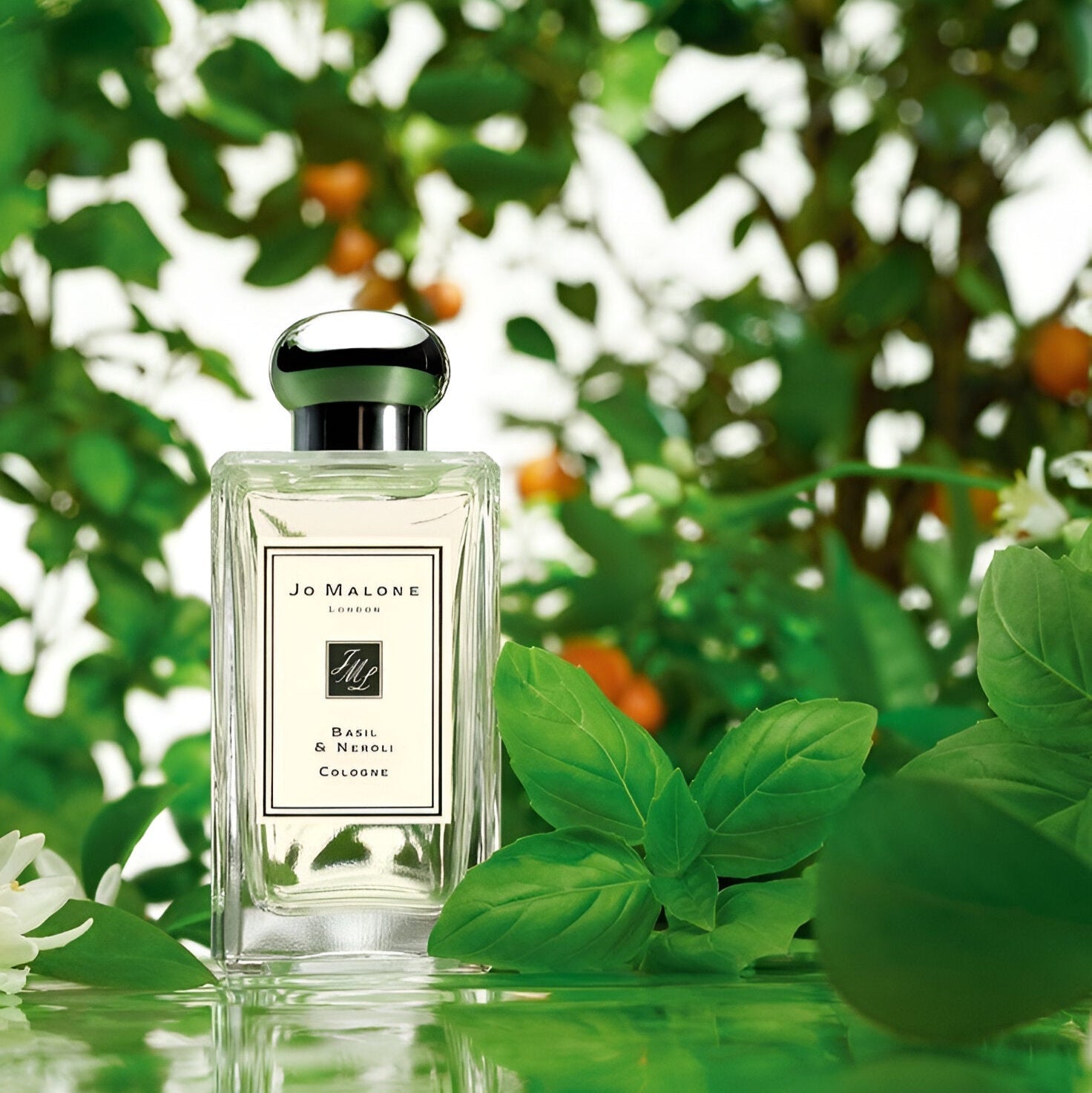 Jo Malone Basil & Neroli Cologne | My Perfume Shop