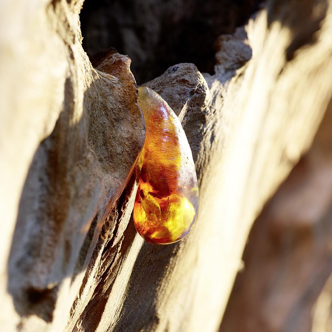 Dior Sauvage Deodorant Spray | My Perfume Shop