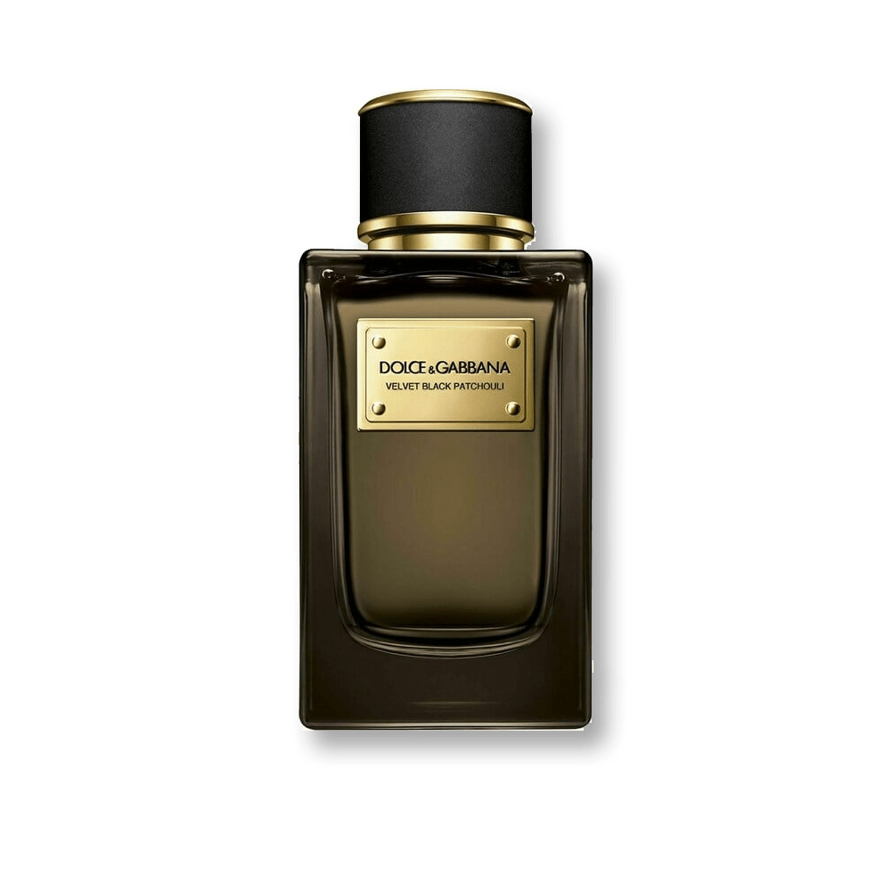 Dolce & Gabbana Velvet Black Patchouli EDP | My Perfume Shop Australia