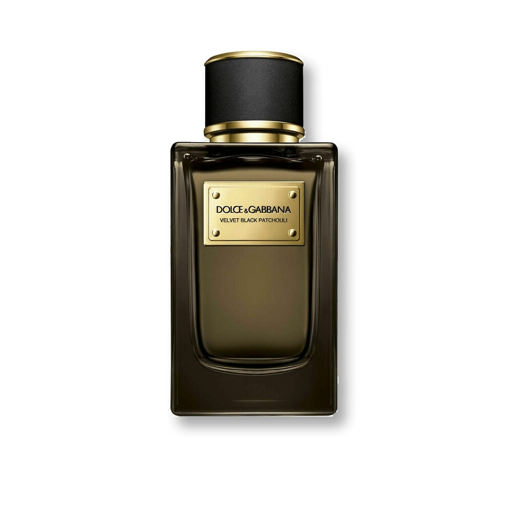 Shop Dolce & Gabbana Velvet Black Patchouli EDP in Australia