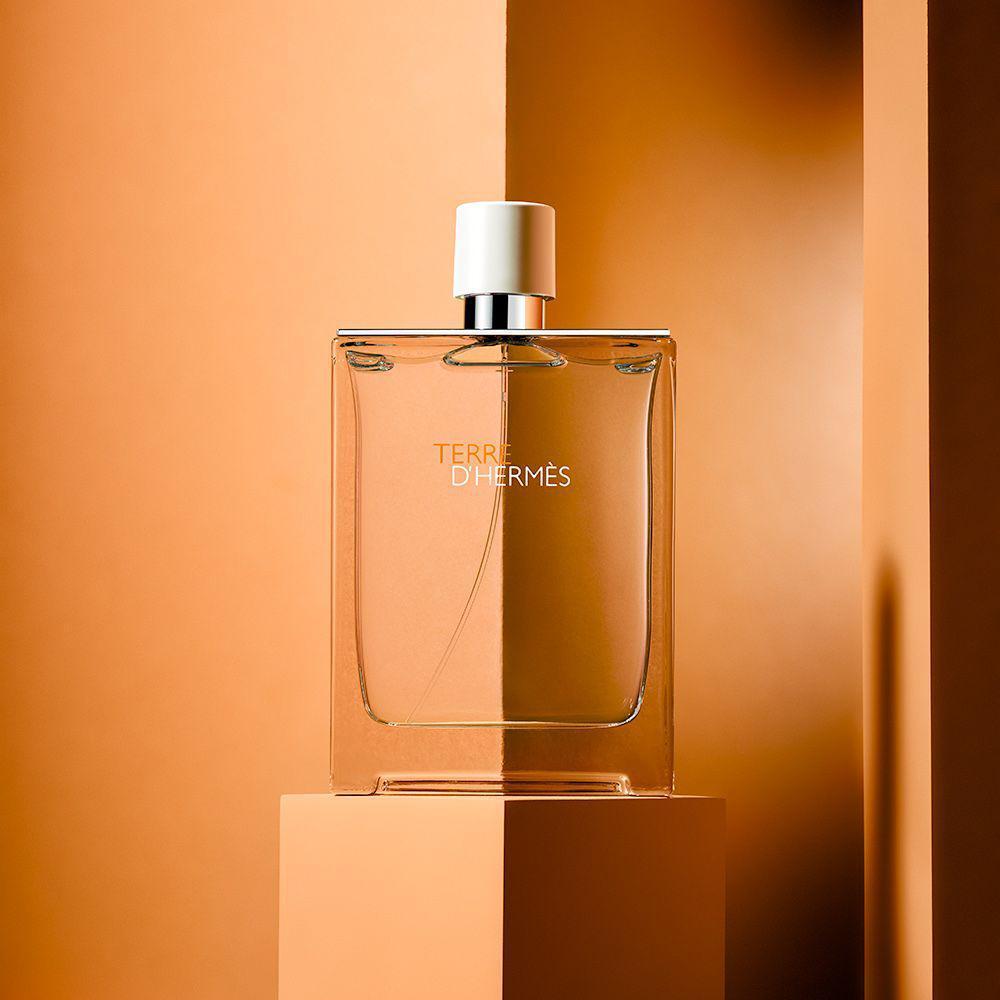 HERMÈS Terre d'Hermes EDT - My Perfume Shop Australia