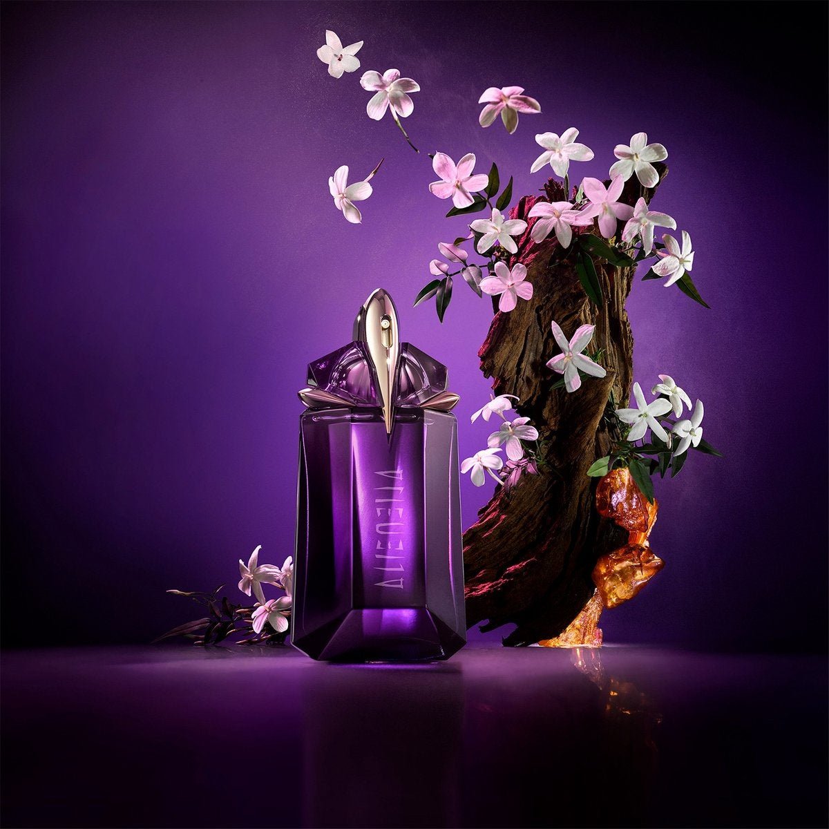 Thierry Mugler Alien EDP | My Perfume Shop Australia