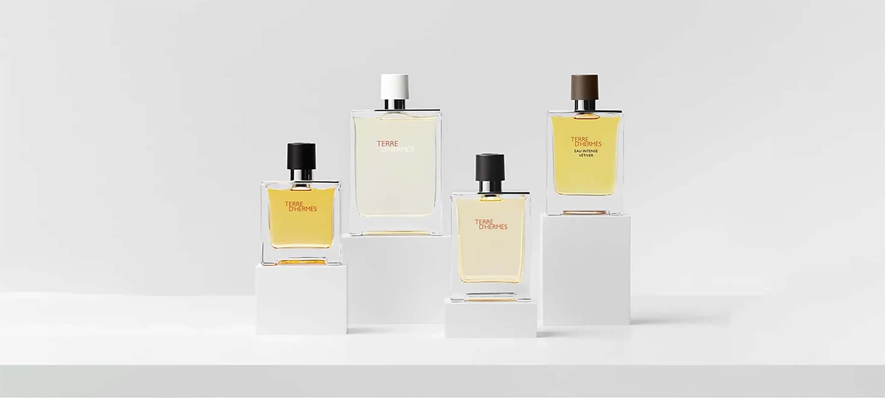 HERMÈS Terre d'Hermes: EDT vs Parfum - My Perfume Shop