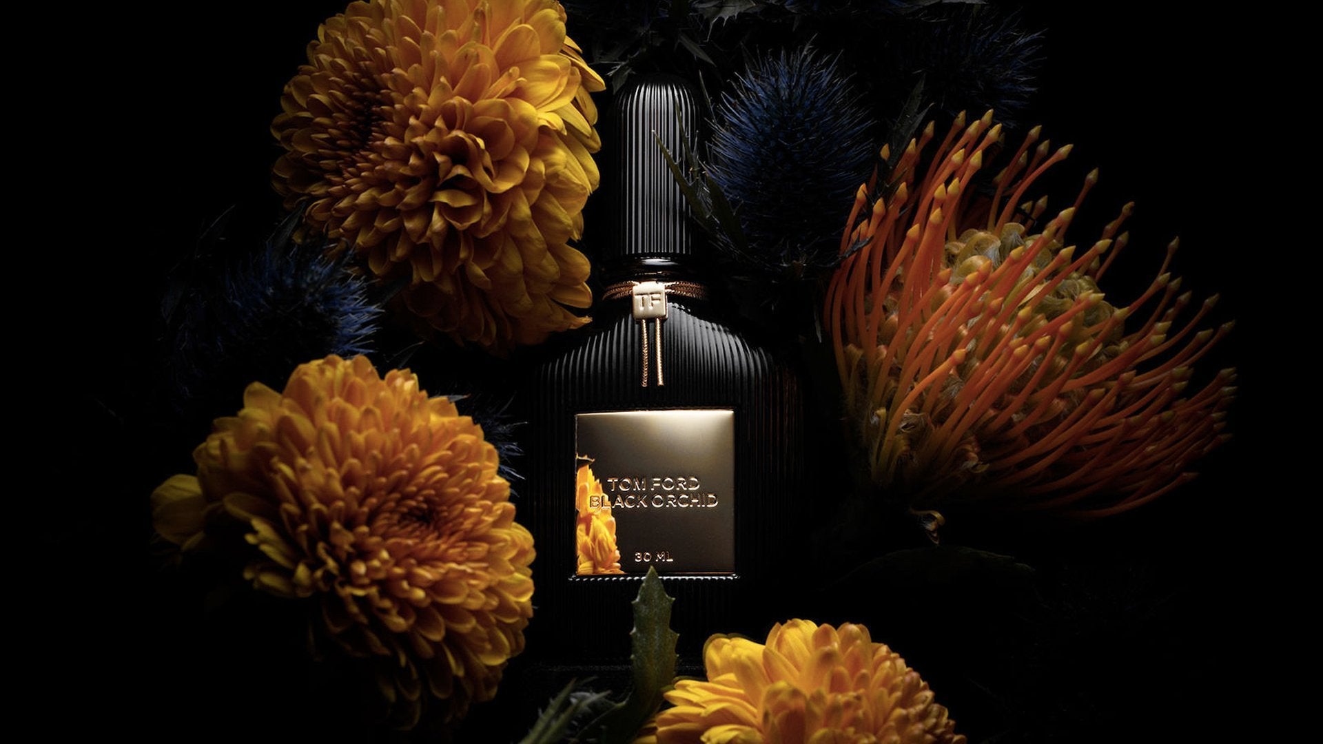 TOM FORD Velvet Orchid vs. Black Orchid: What’s the Difference? - My Perfume Shop