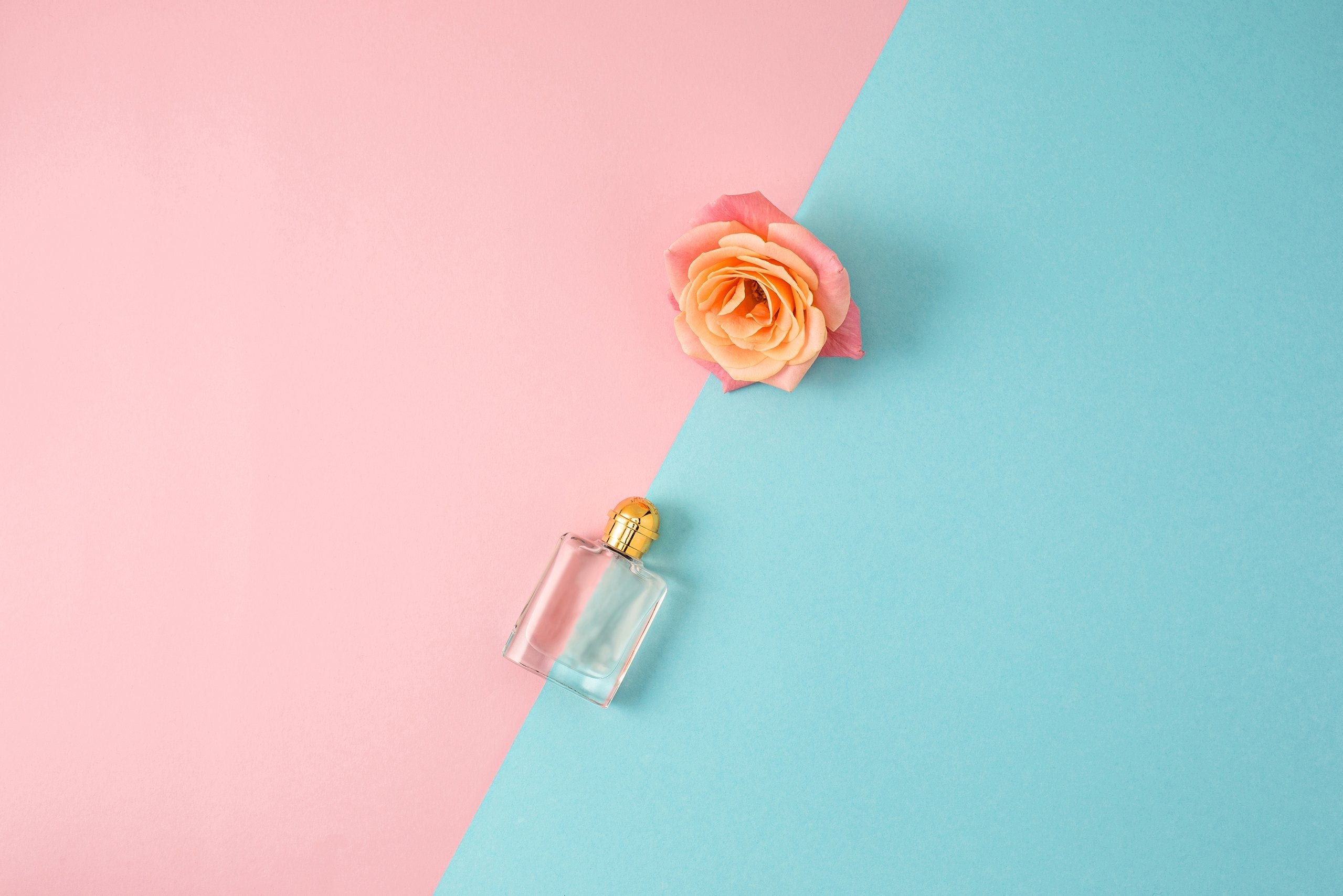 Find the Best Womens Perfume Fragrance for You | My Perfume Shop Australia