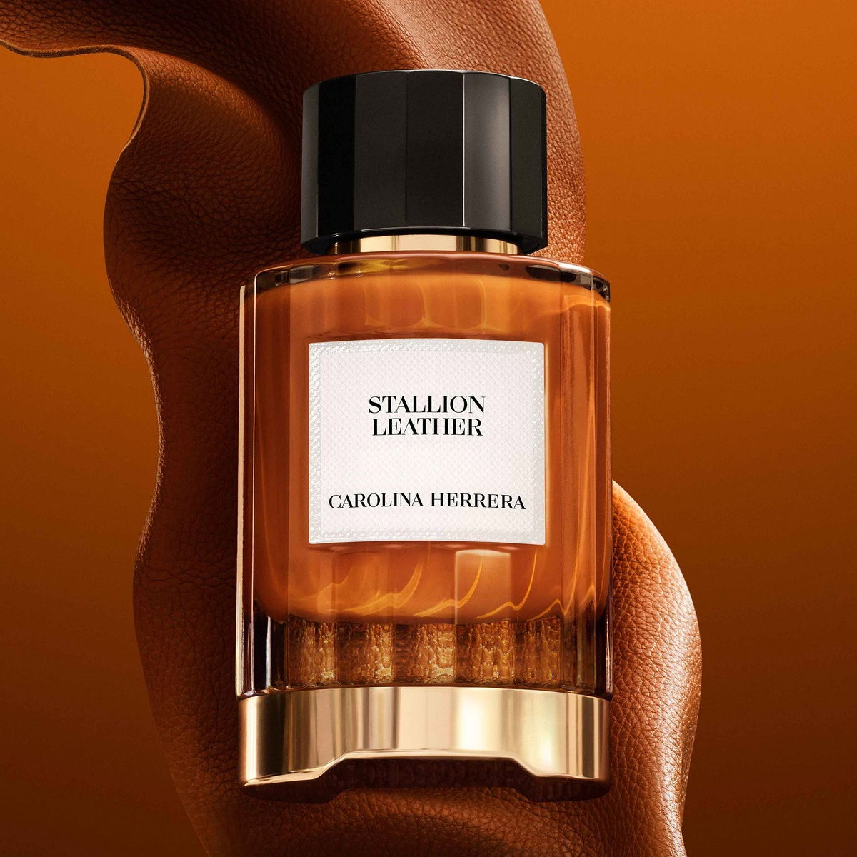 Carolina Herrera Stallion Leather Suede EDP for Men fragrance notes image