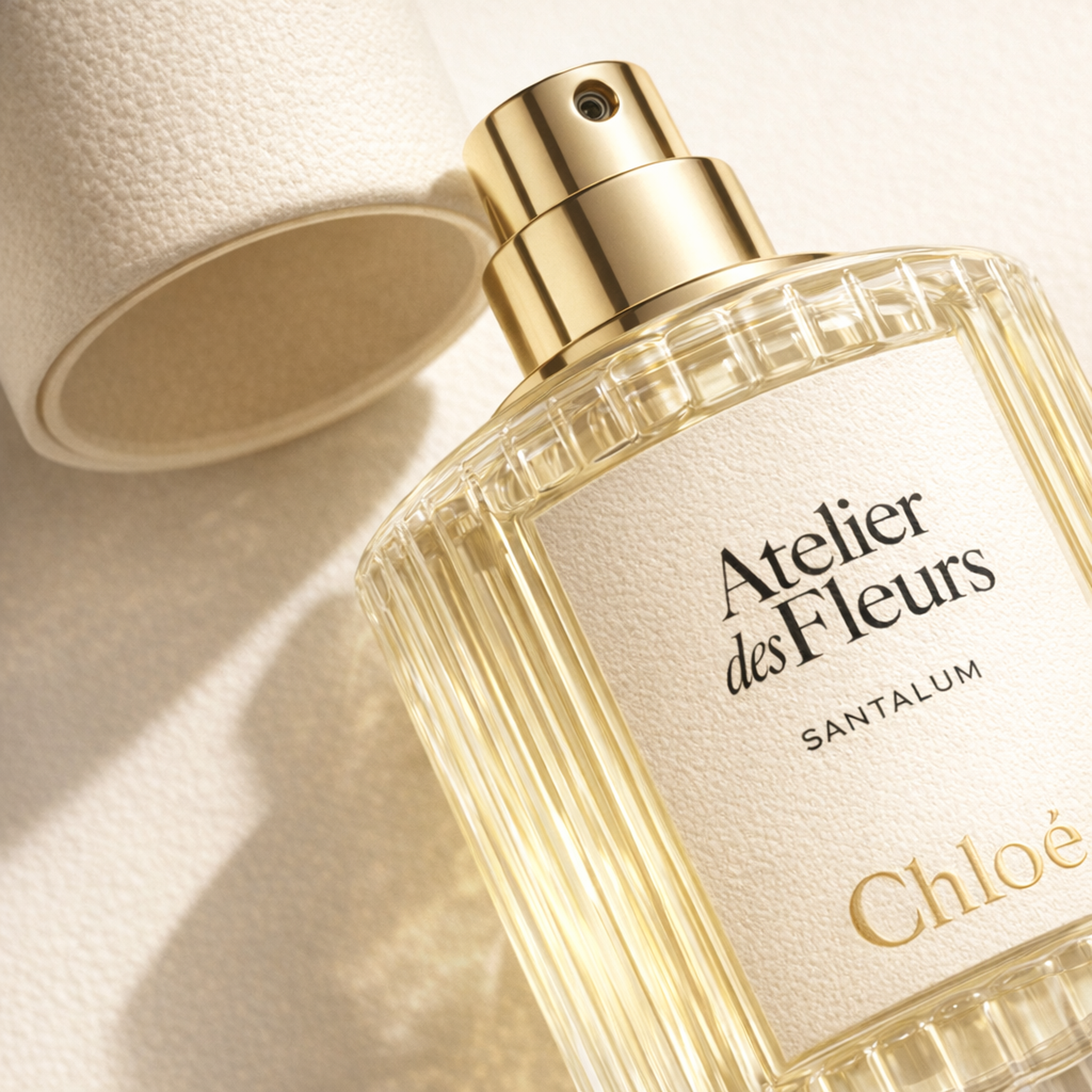 Chloe Atelier Des Fleurs Santalum EDP fragrance details image