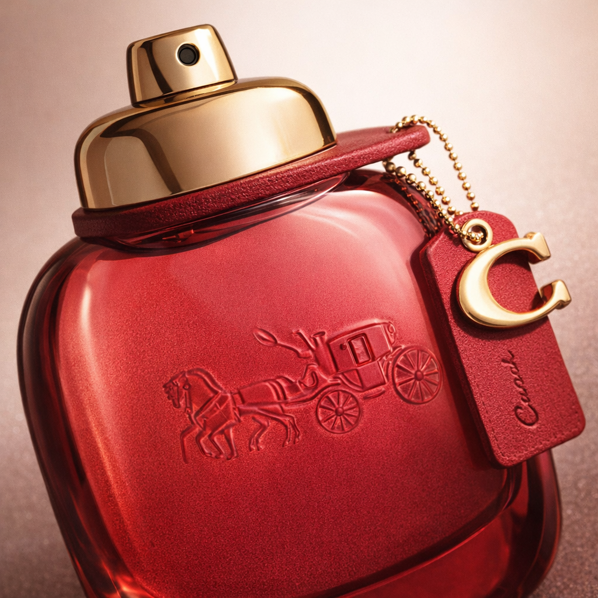 Coach Wild Rose Gift Set for Her fragrance details image