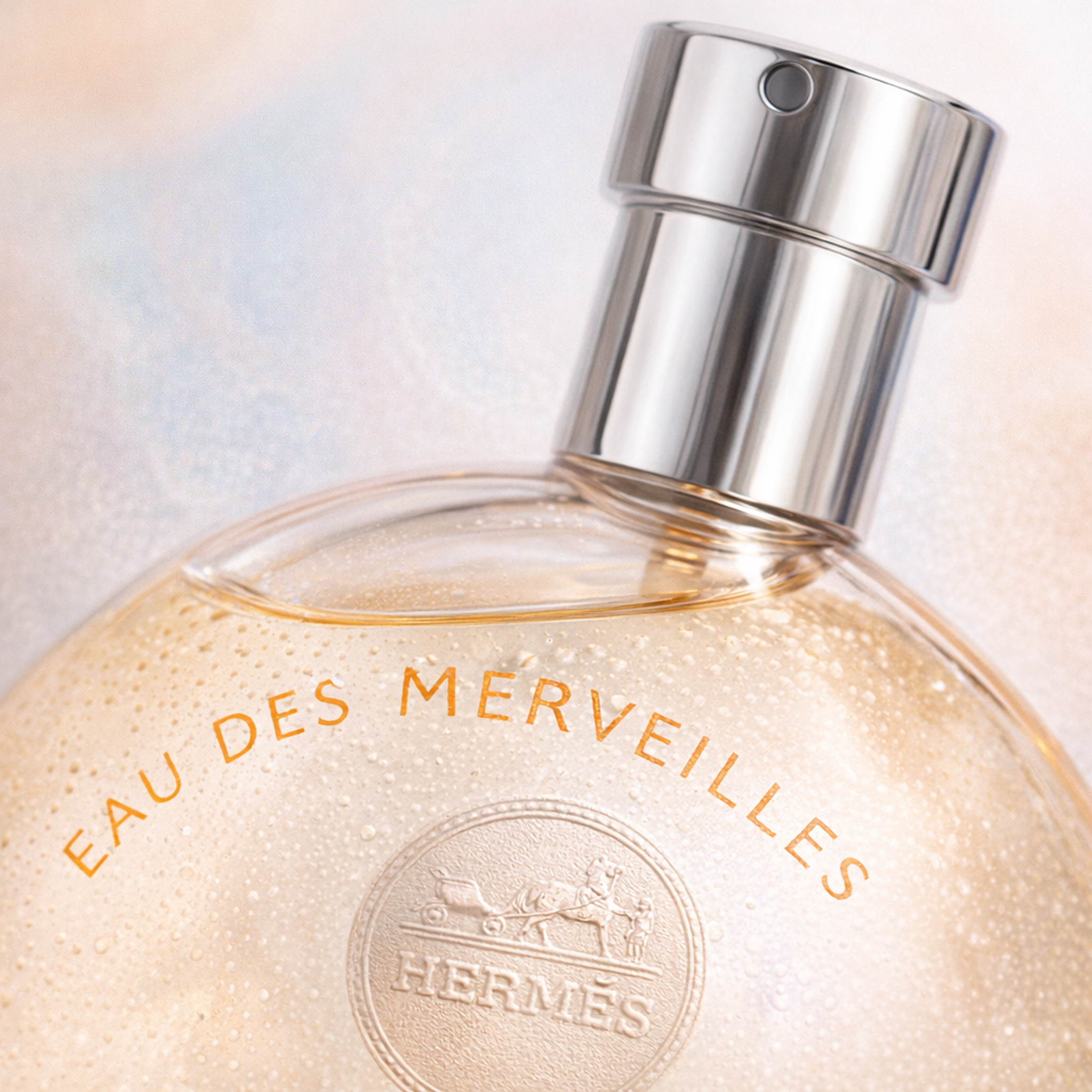 Hermès Eau Des Merveilles Gift Set for Her fragrance details image