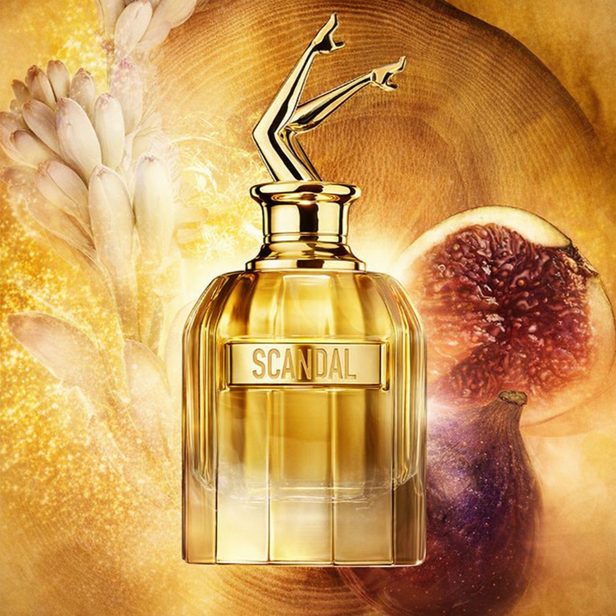 Jean Paul Gaultier Scandal Absolu Parfum Concentre For Men fragrance notes image