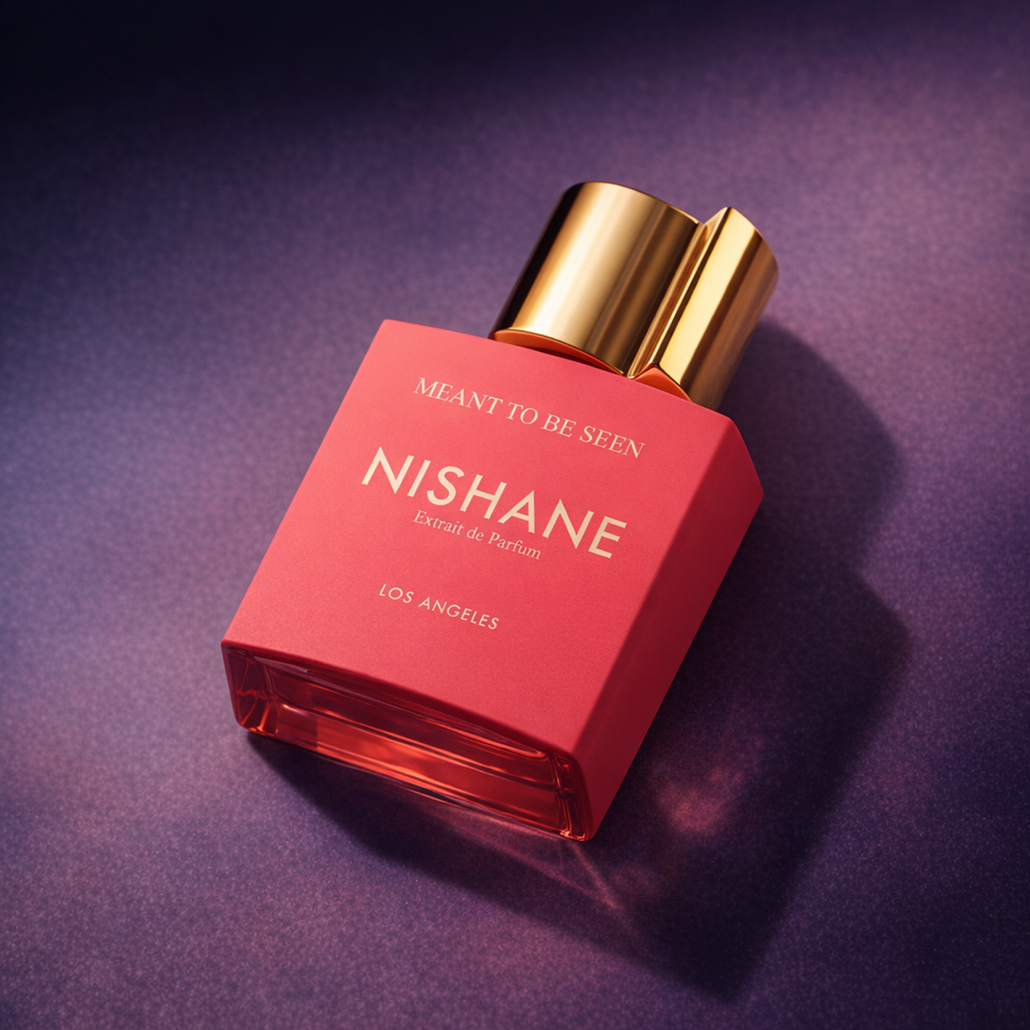 Nishane Meant To Be Seen Extrait de Parfum angled still-life gallery showcase