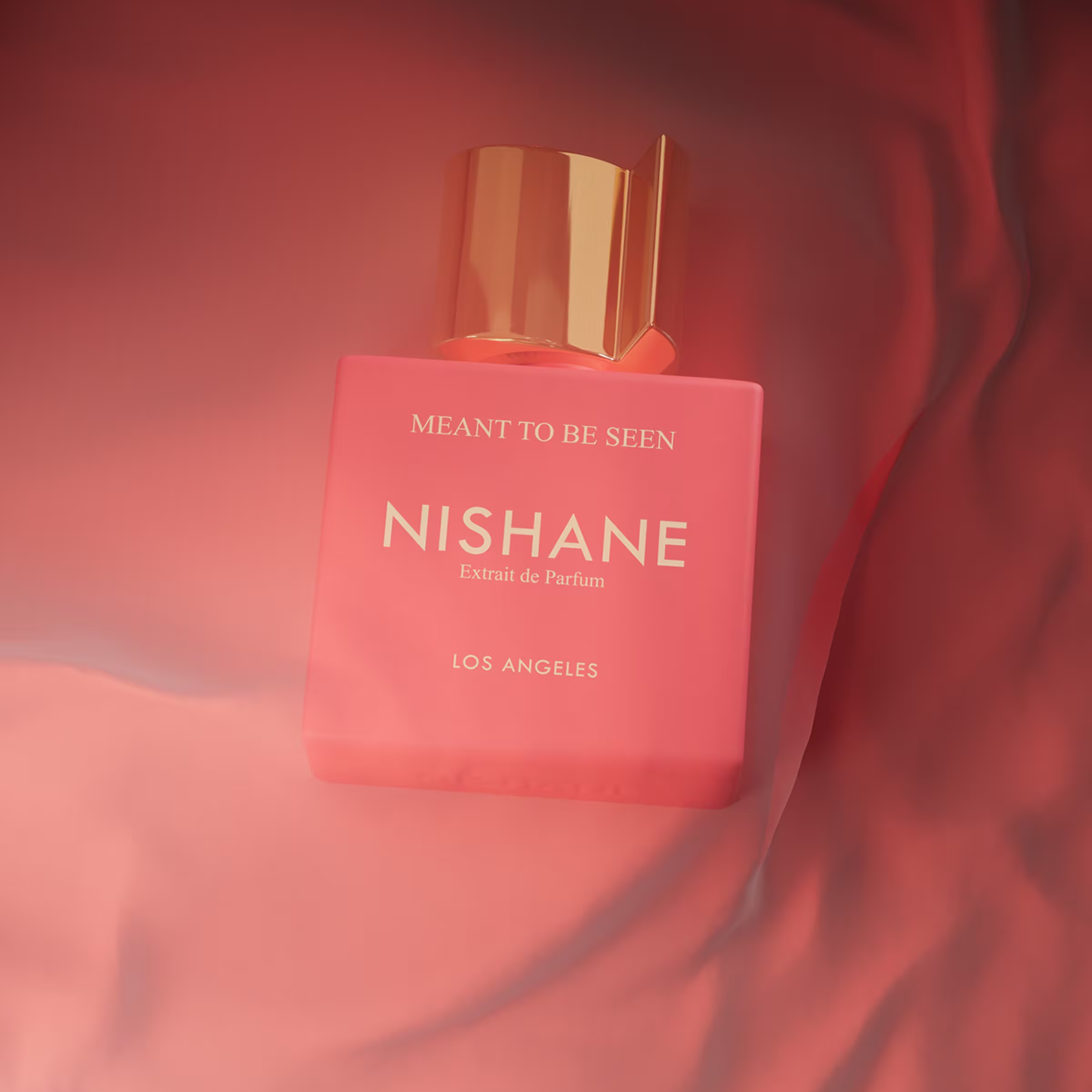 Nishane Meant To Be Seen Extrait de Parfum fragrance notes image