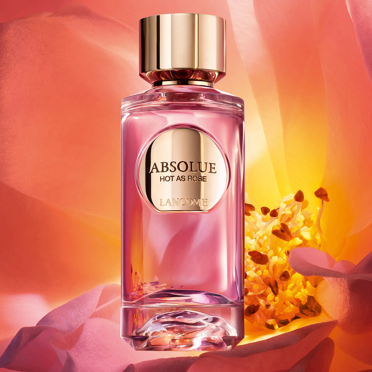 Lancome Absolue Hot As Rose EDP For Women fragrance details image