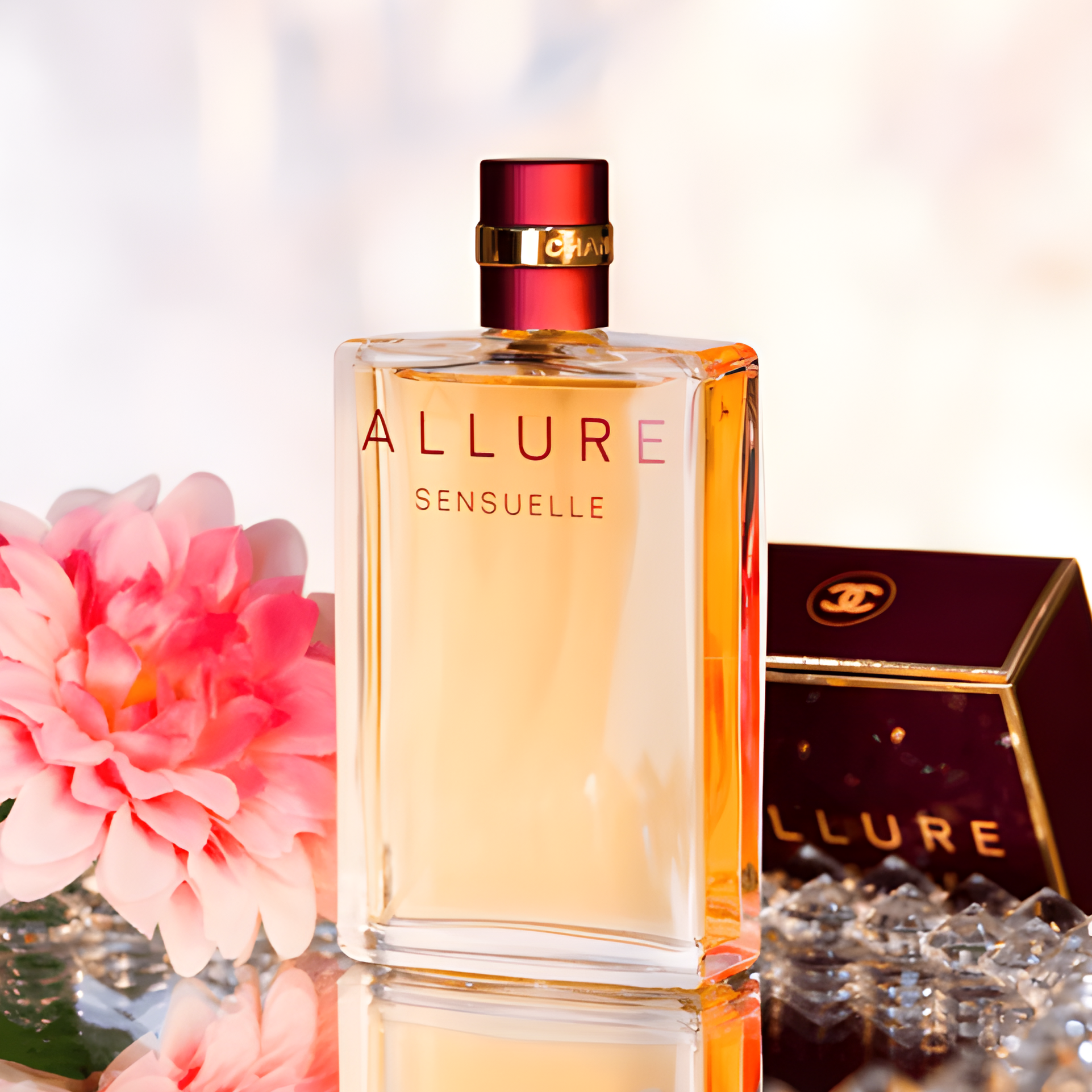 Coco chanel allure shop sensuelle