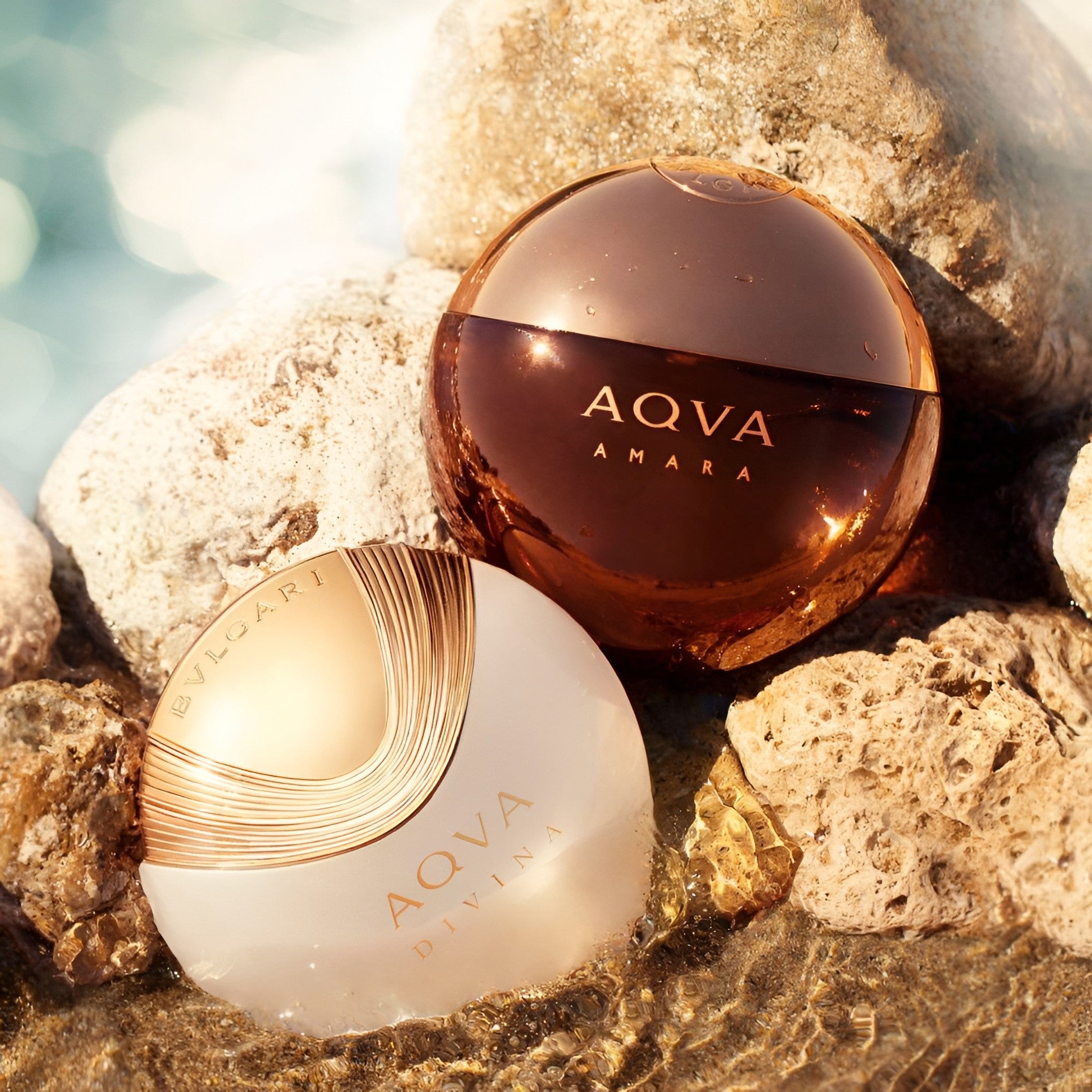Shop Bvlgari Aqva Divina EDT for Women 40ml | My Perfume Shop