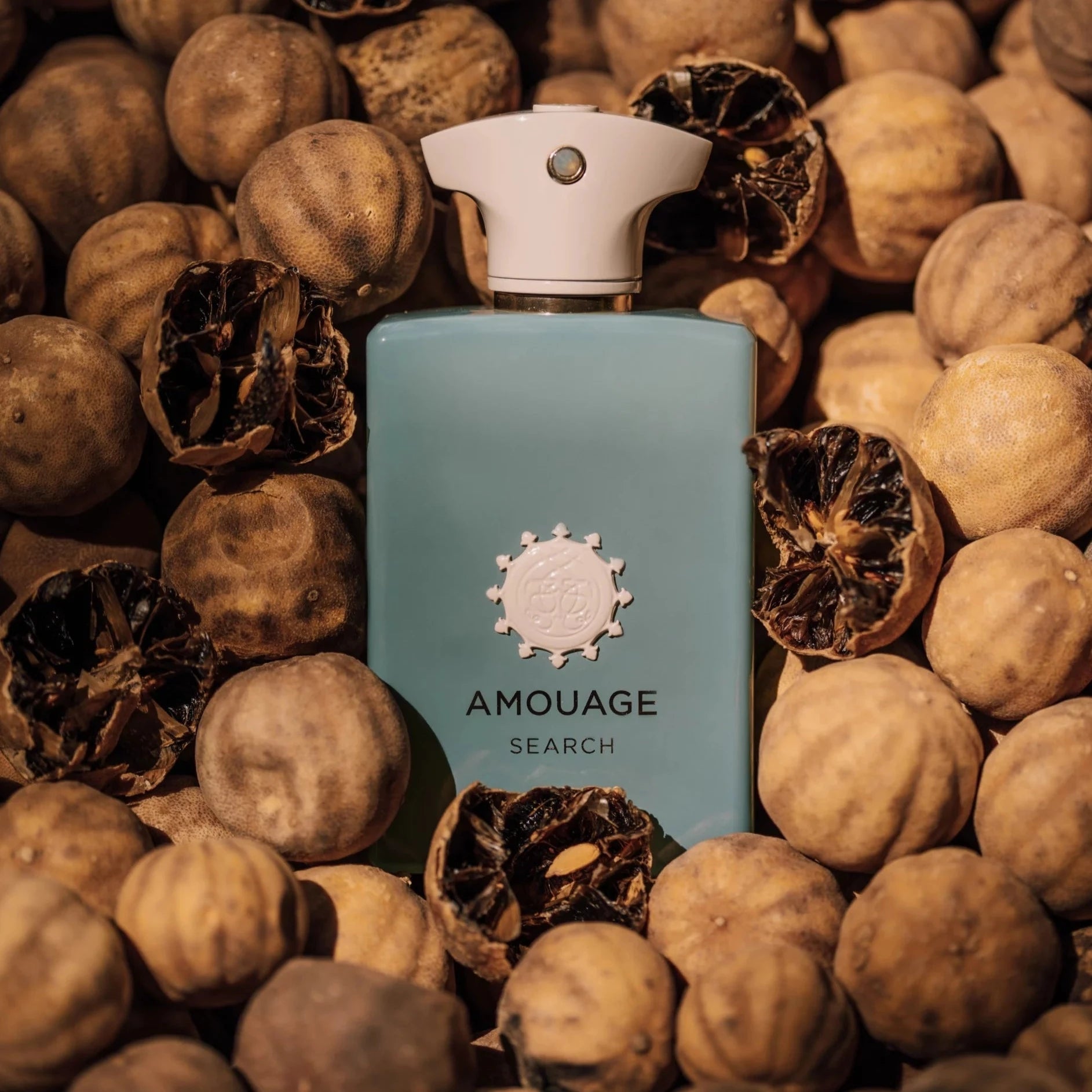 Amouage Search EDP | My Perfume Shop Australia