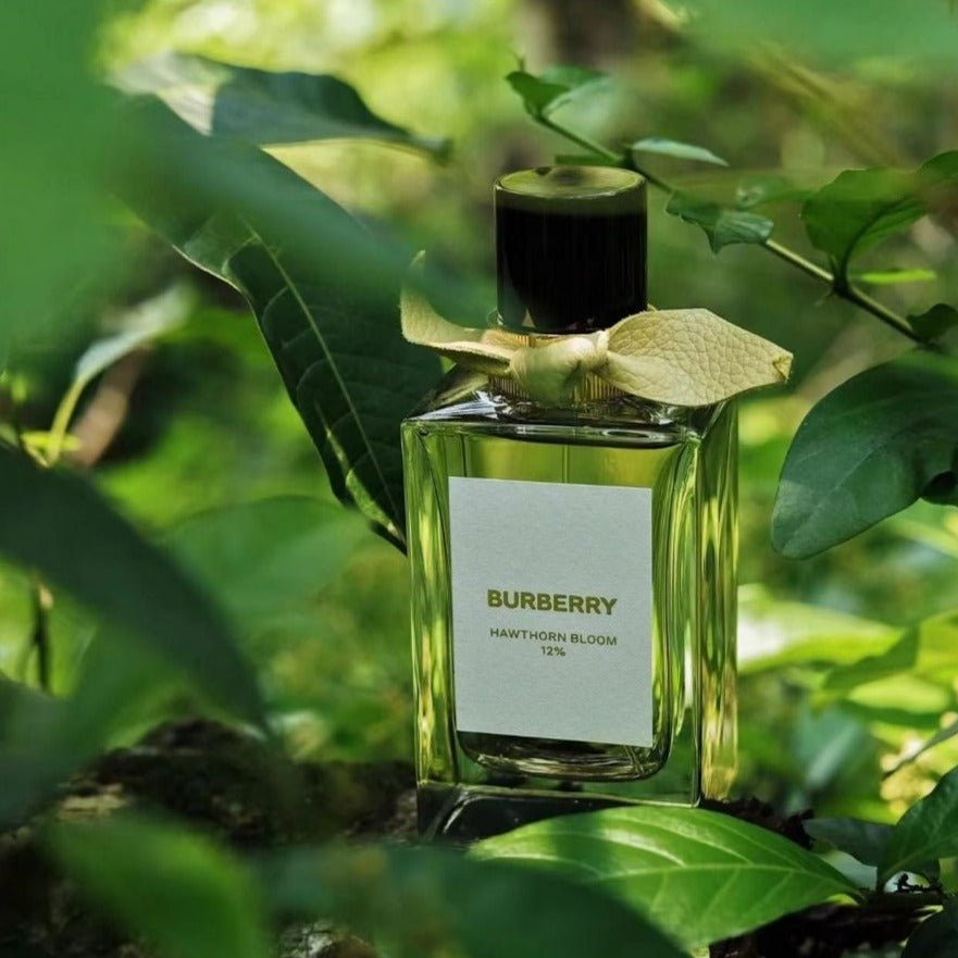 Burberry Bespoke Collection Hawthorn Bloom 12% EDP | My Perfume Shop Australia