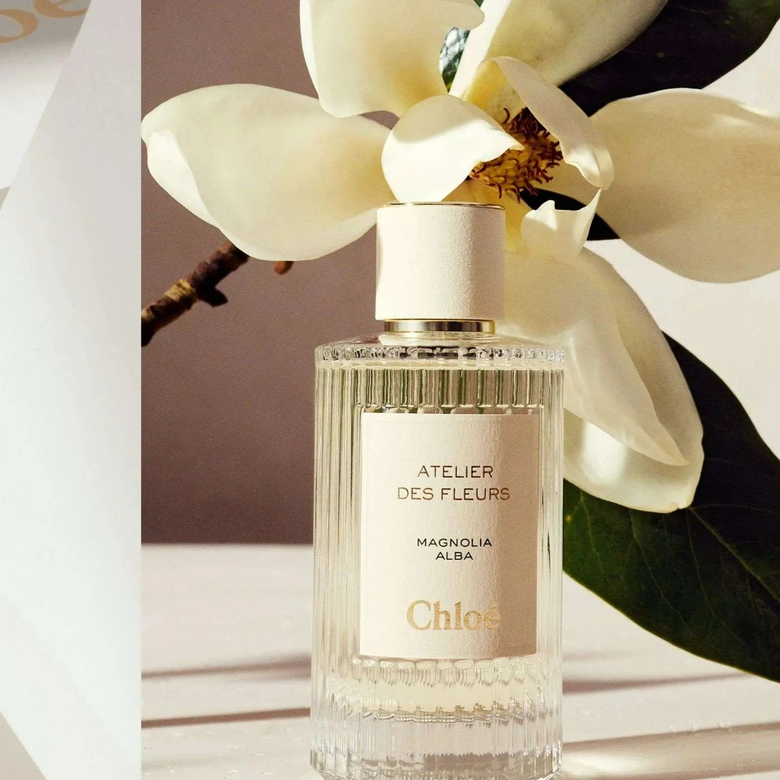 Chloe Atelier Des Fleurs Cedrus EDP | My Perfume Shop Australia