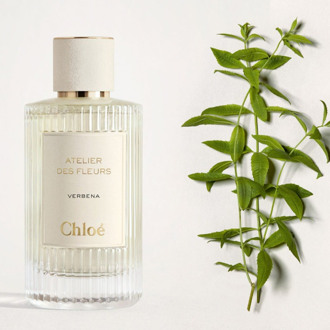 Chloe Atelier Des Fleurs Verbena EDP | My Perfume Shop Australia