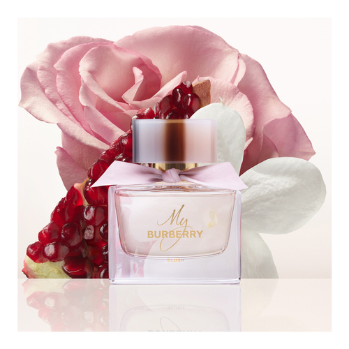 Burberry perfume 90 ml online