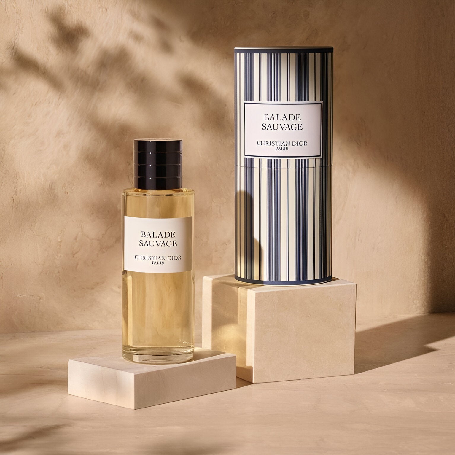 Dior Balade Sauvage EDP | My Perfume Shop Australia
