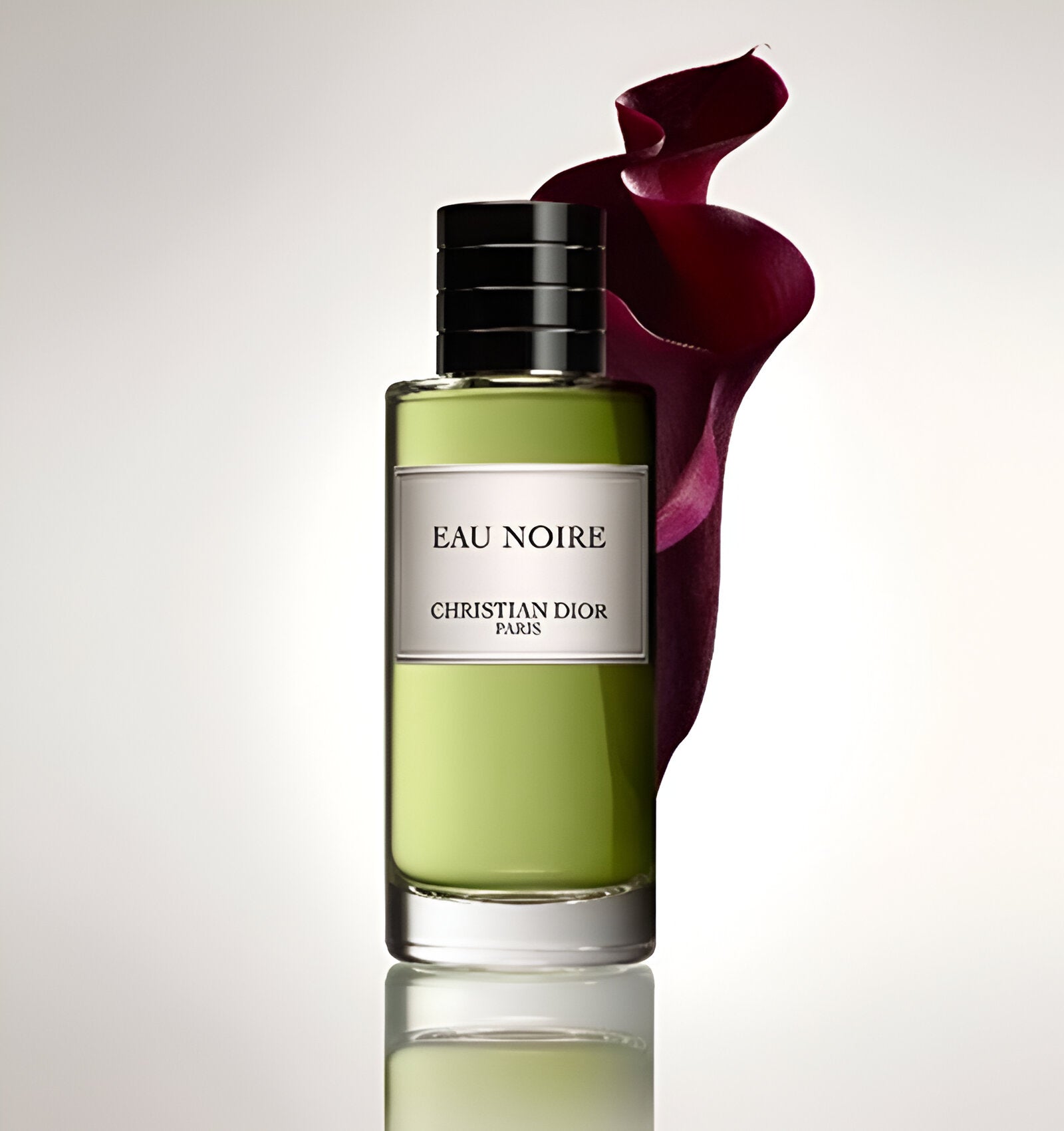 Dior Eau Noire EDP | My Perfume Shop Australia