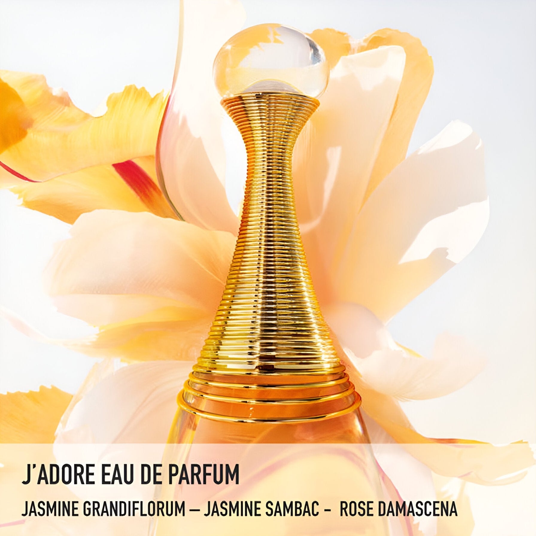 Dior J'Adore Parfum Hairmist | My Perfume Shop