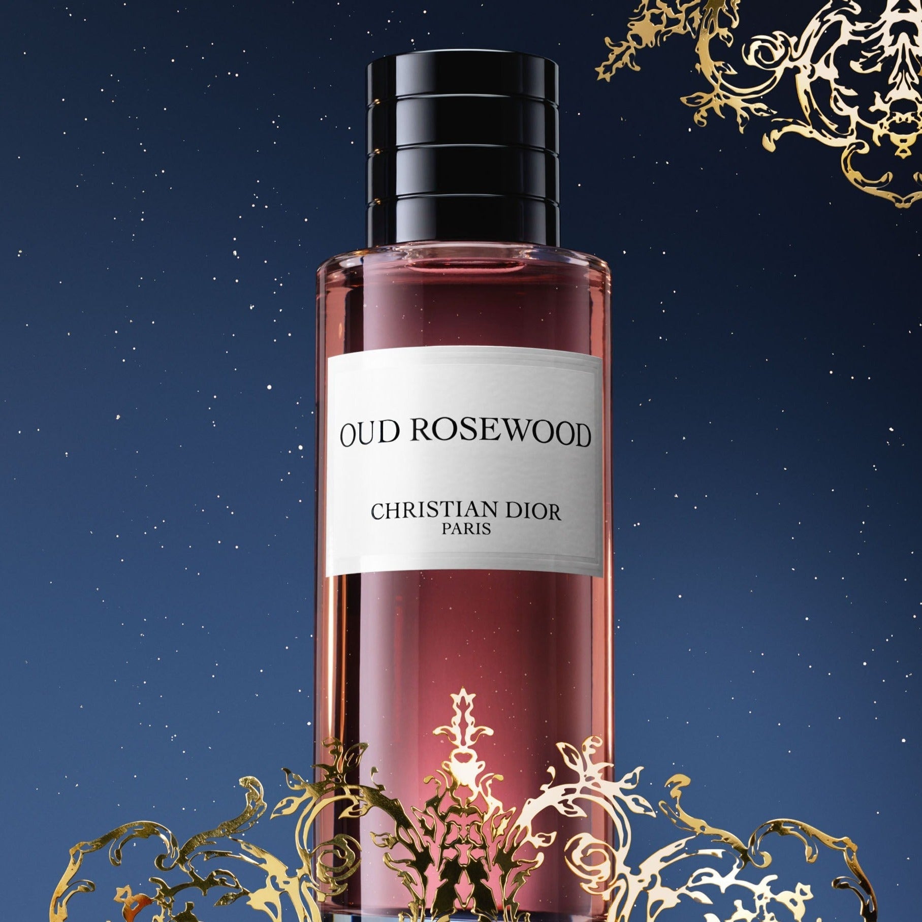 Dior Oud Rosewood EDP | My Perfume Shop Australia