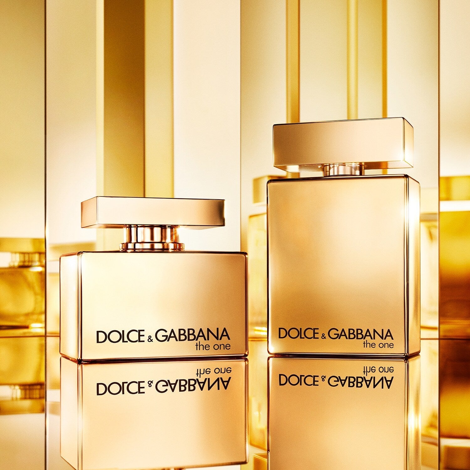 Dolce & Gabbana The One EDP For Women | My Perfume Shop Australia