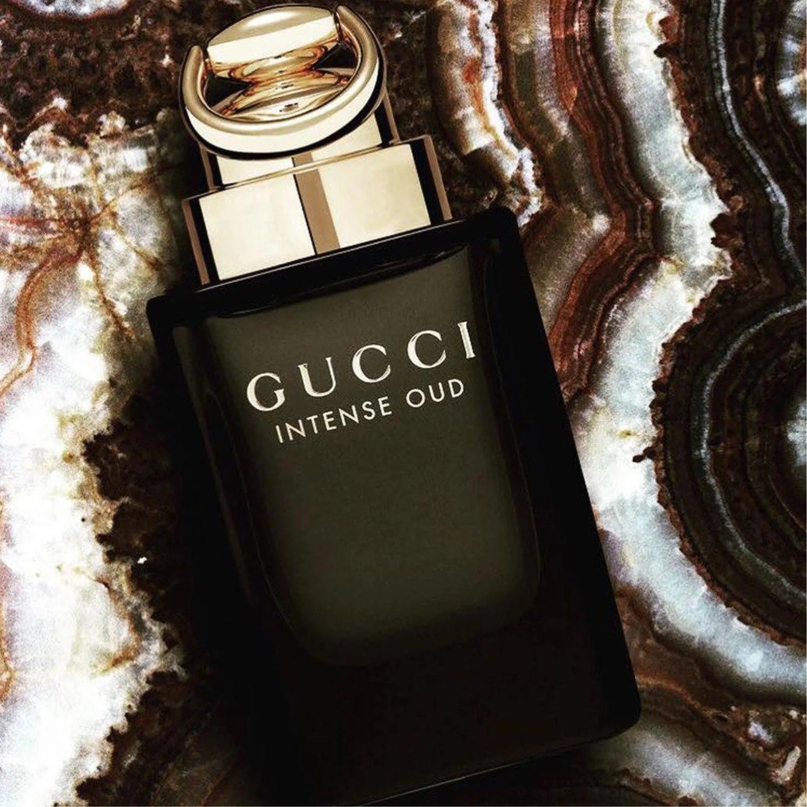 Gucci Intense Oud EDP | My Perfume Shop Australia