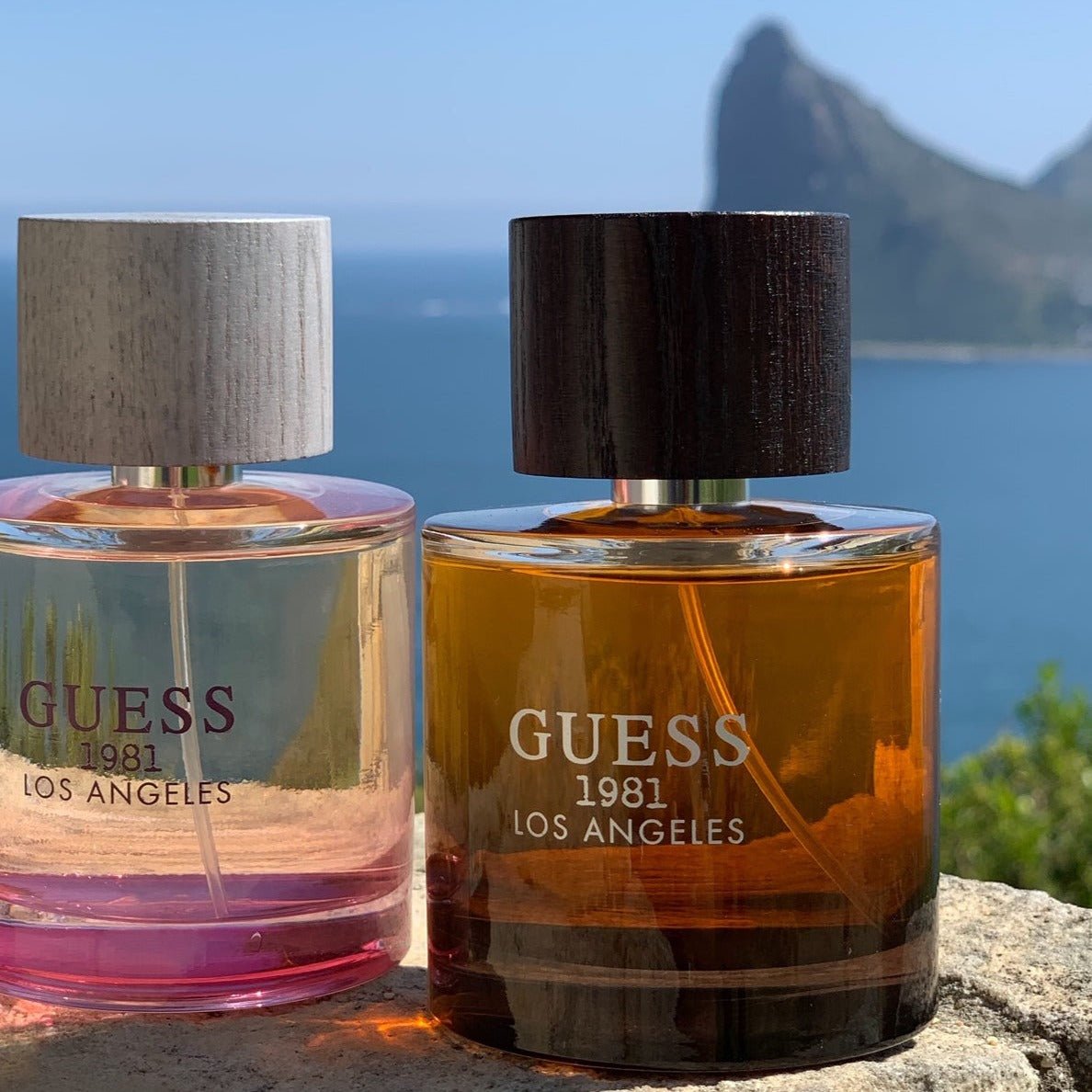 Guess 1981 Los Angeles EDT For Men | My Perfume Shop Australia