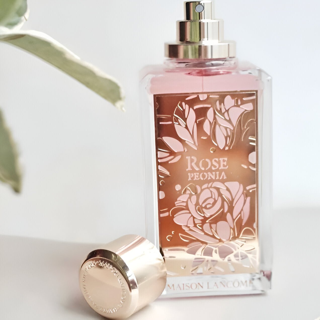 Lancome Maison Rose Peonia EDP | My Perfume Shop Australia