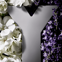 Yves Saint Laurent Y EDP Intense