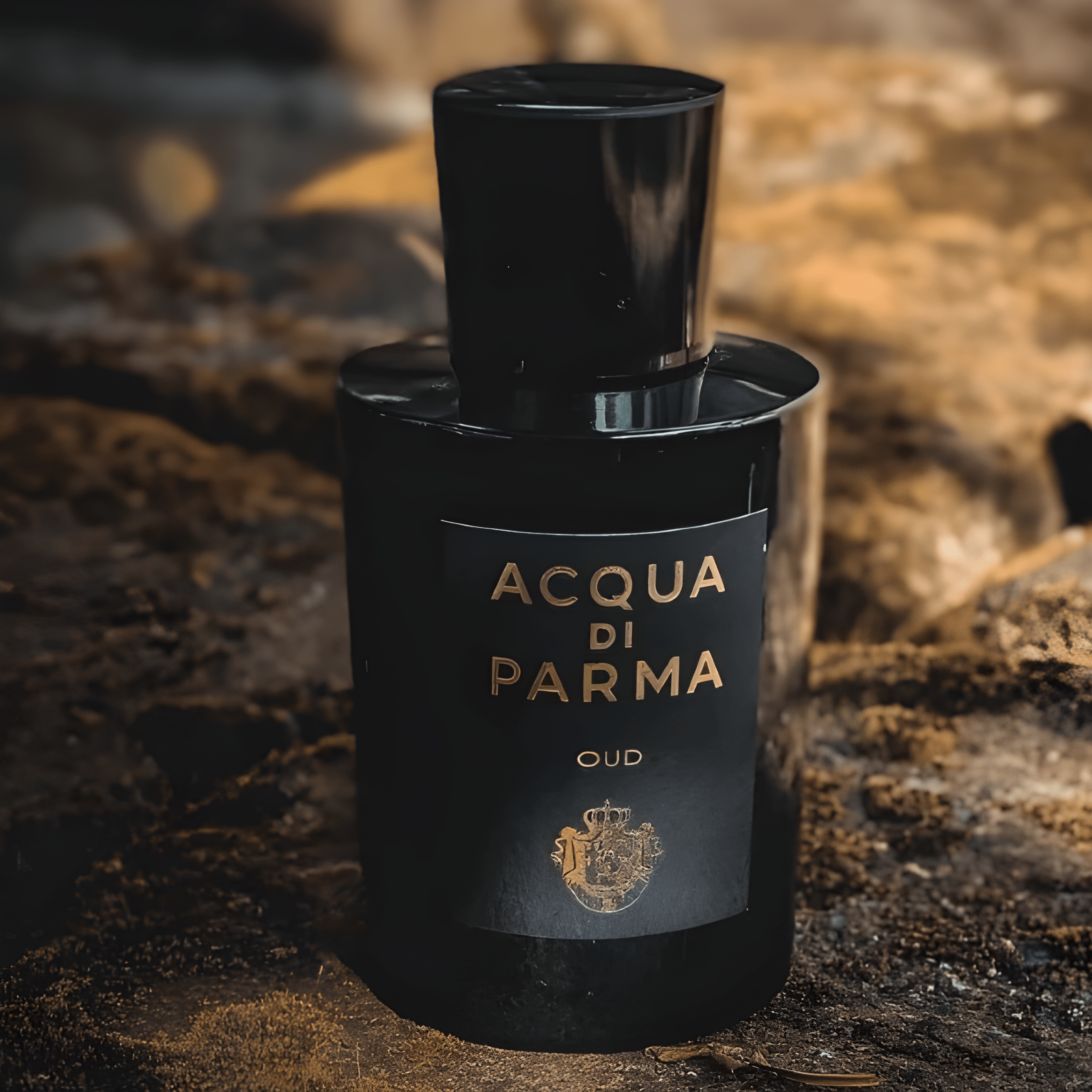 Acqua Di Parma Ambra EDP | My Perfume Shop Australia
