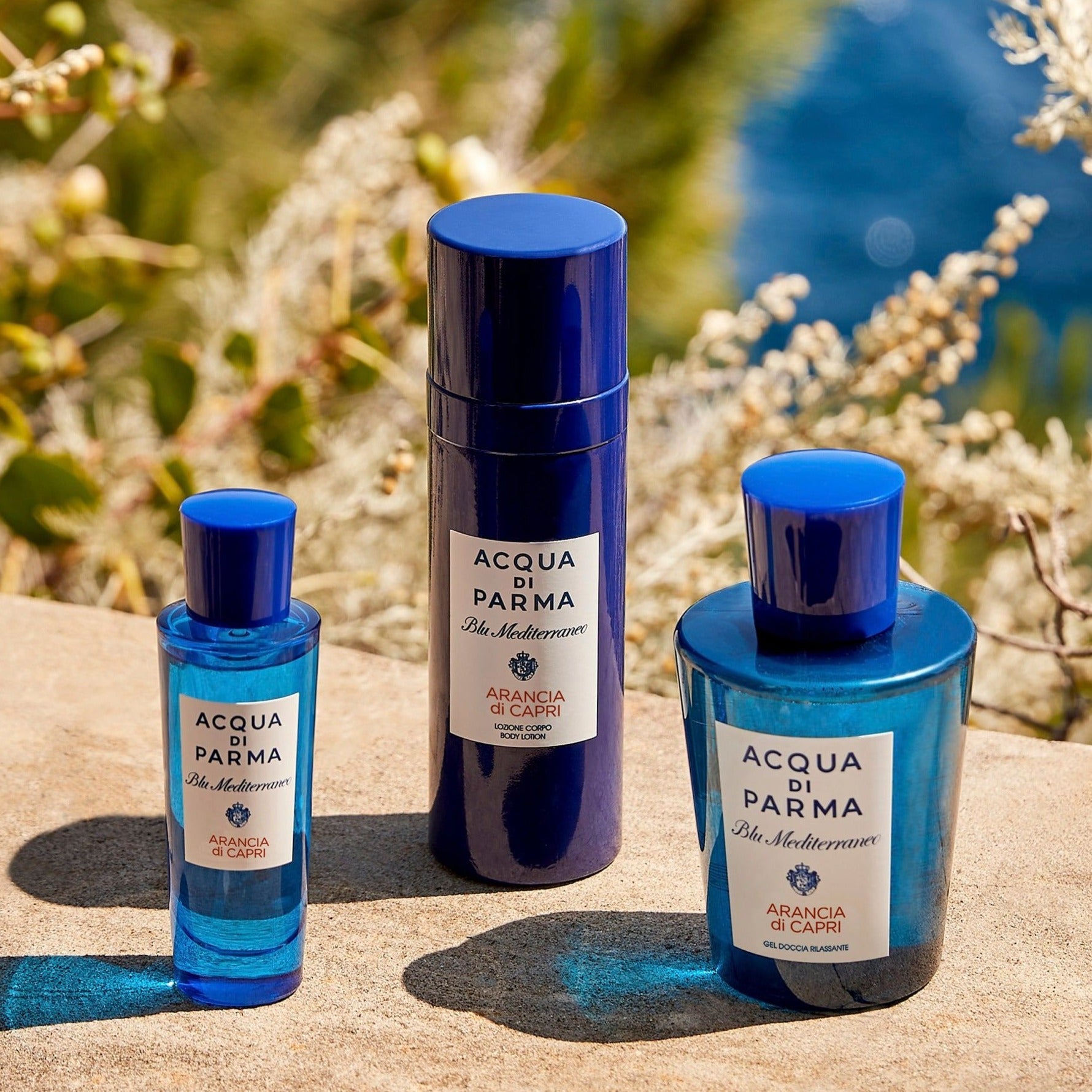 Acqua Di Parma Blu Mediterraneo Arancia Di Capri Body Lotion | My Perfume Shop Australia