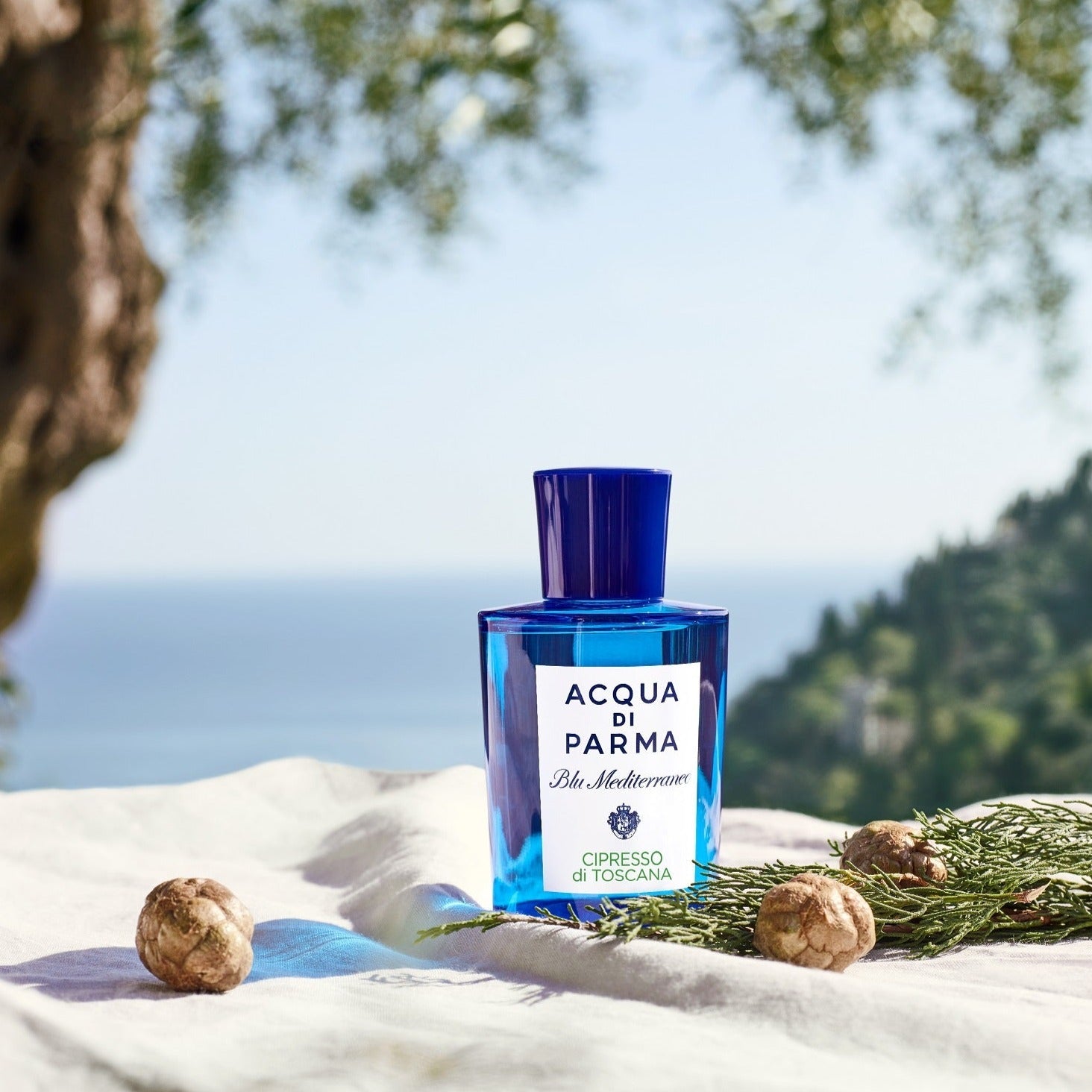 Acqua Di Parma Blu Mediterraneo Cipresso Di Toscana EDT | My Perfume Shop Australia