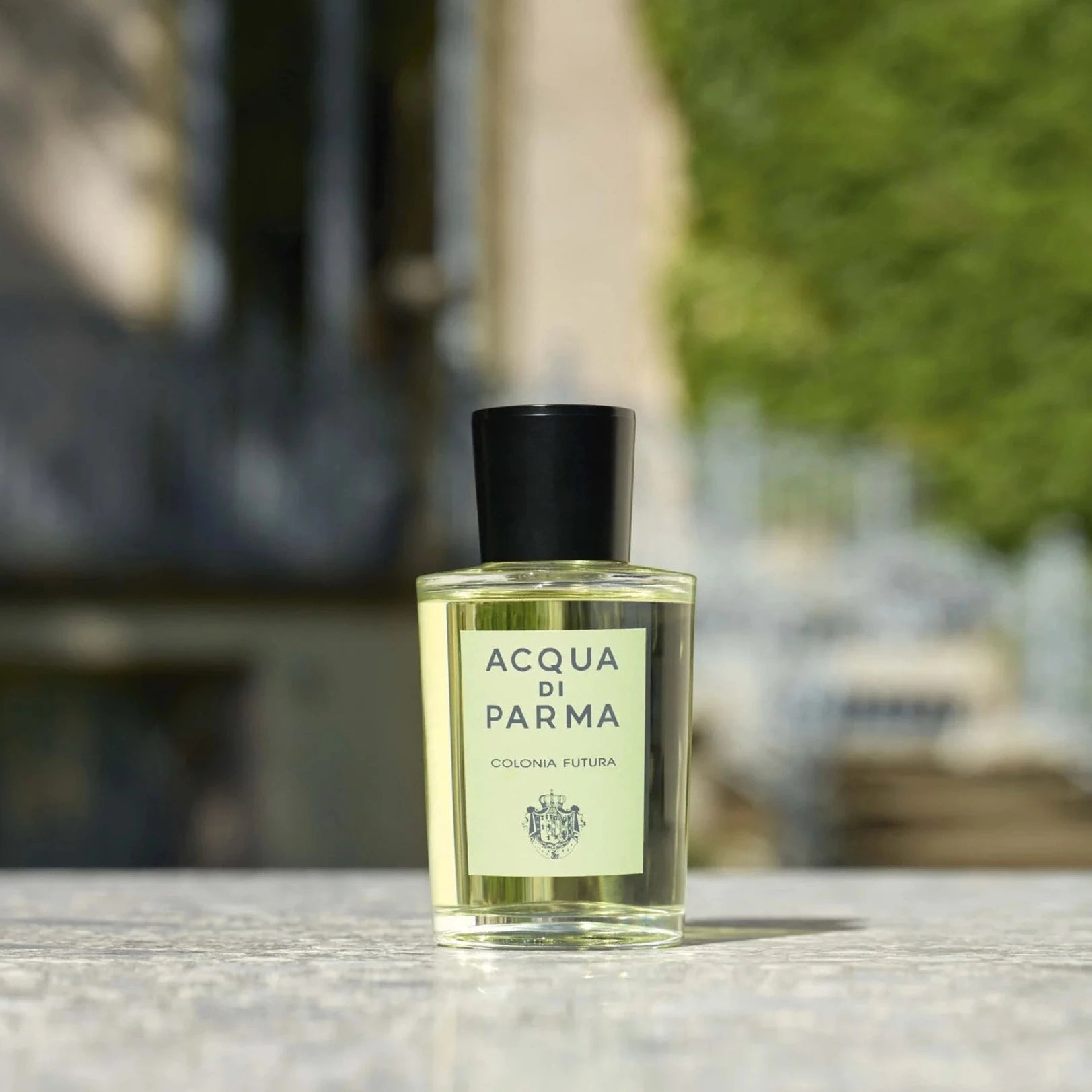 Acqua Di Parma Colonia Futura EDC | My Perfume Shop Australia