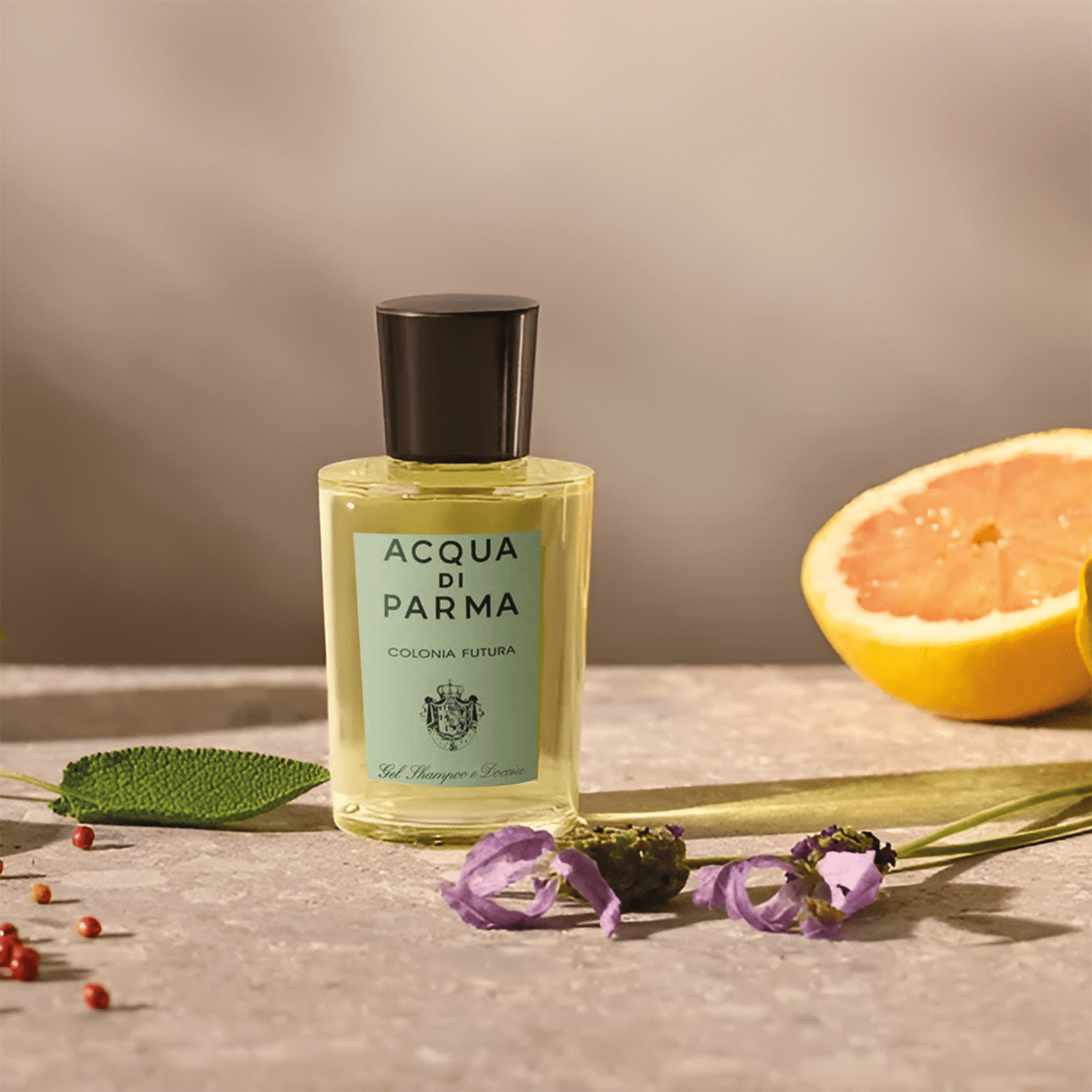 Acqua Di Parma Colonia Futura Hair And Shower Gel | My Perfume Shop Australia