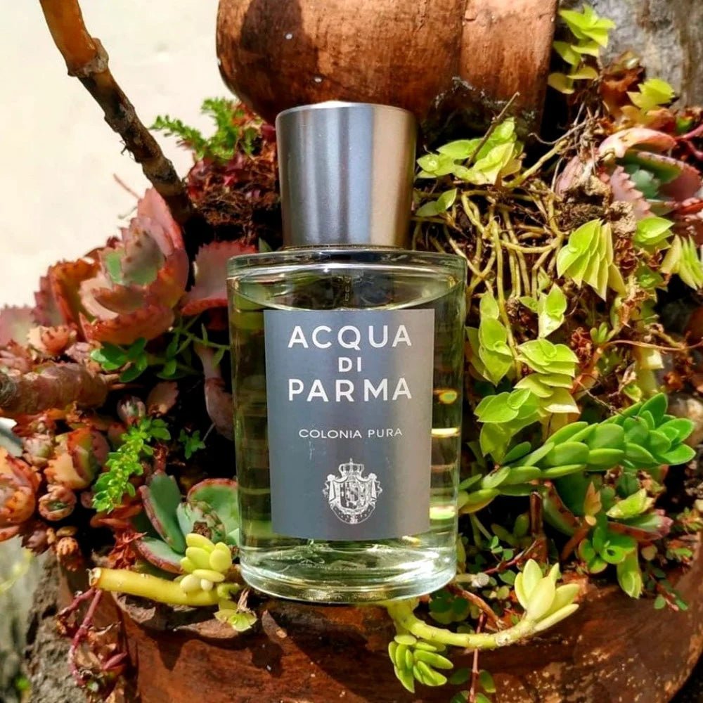 Acqua Di Parma Colonia Pura Travel Set | My Perfume Shop Australia
