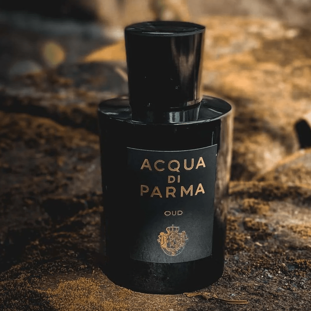 Acqua Di Parma Oud EDP | My Perfume Shop Australia