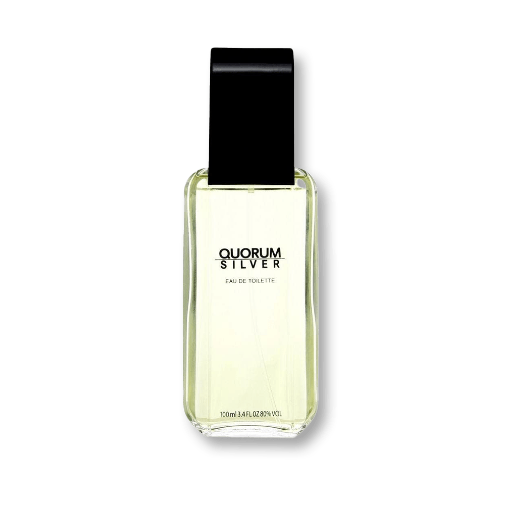 Antonio Puig Quorum Silver EDT For Men | My Perfume Shop Australia