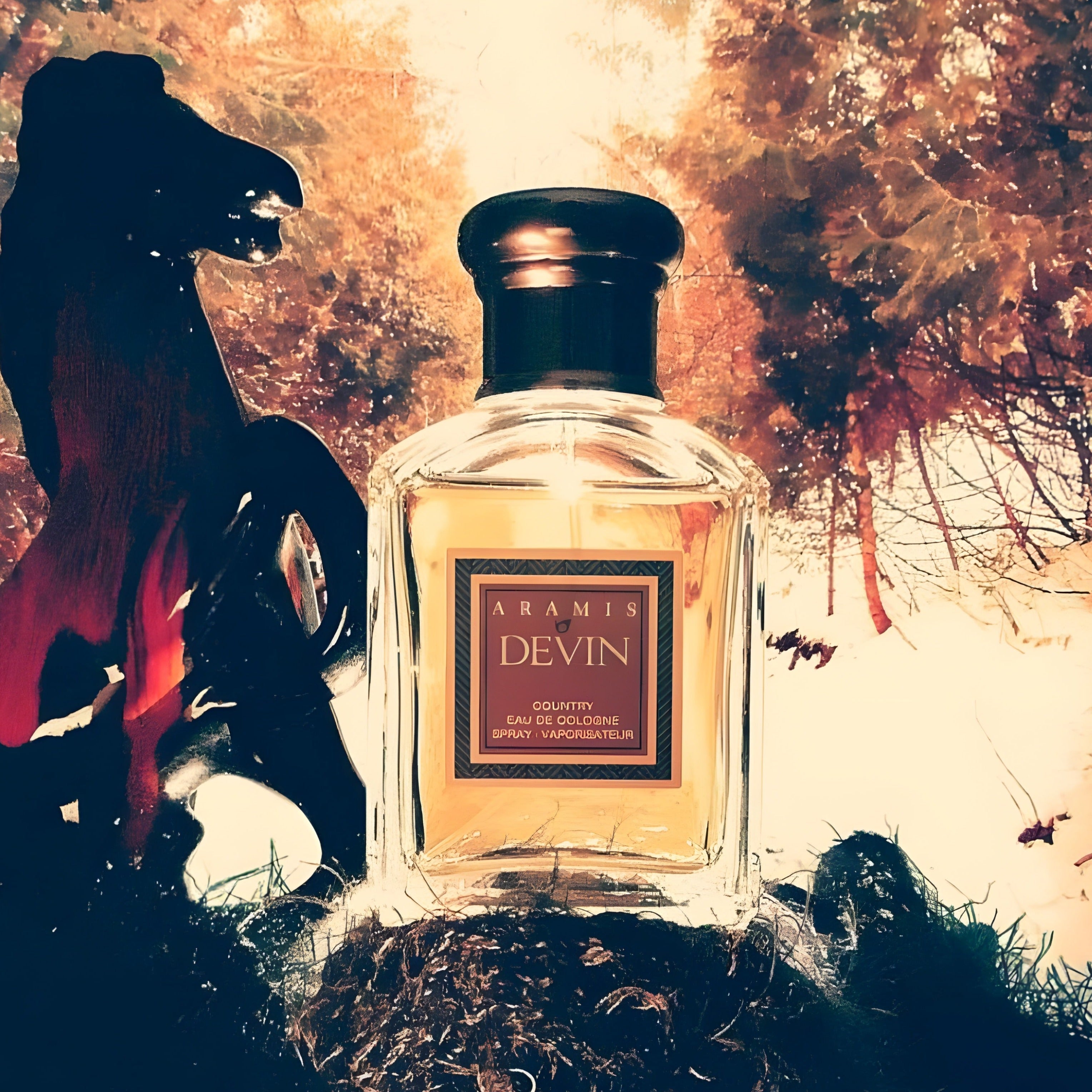 Aramis Devin Country Eau De Cologne | My Perfume Shop Australia